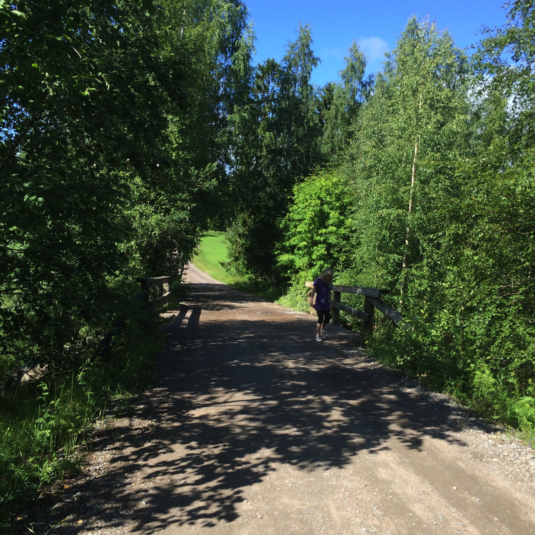 Summer photo of a dirt road, small wooden bridge and plenty of trees