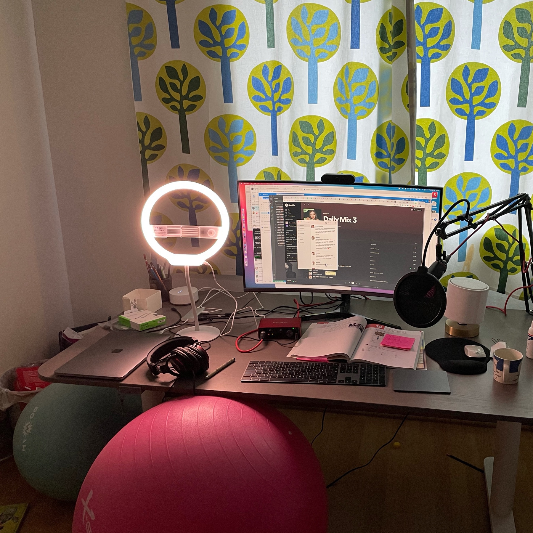 pink ball as a seat, computer desk, assorted computing stuff, microphone and a textbook