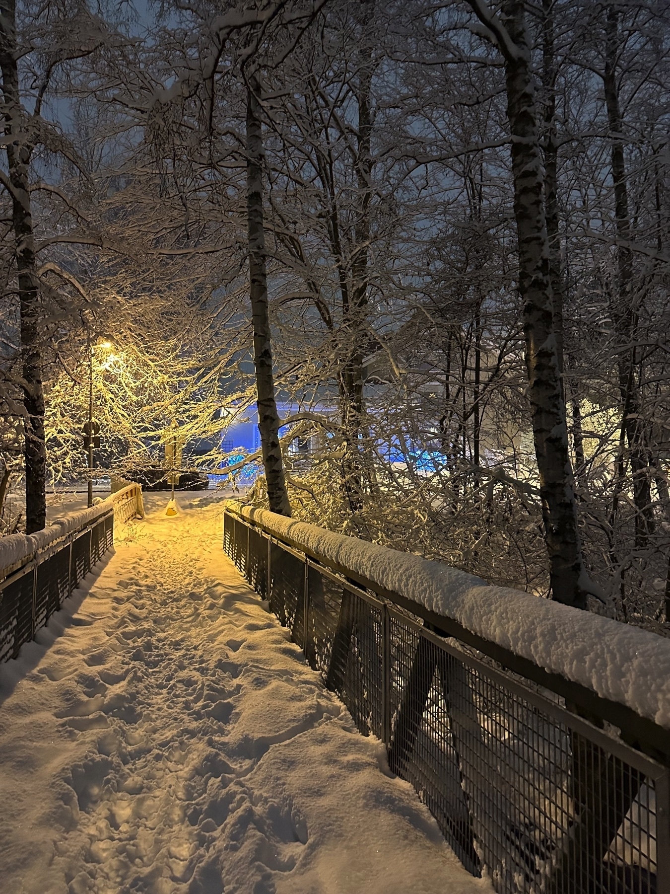 snowy bridge leading to snowy trees and distant houses