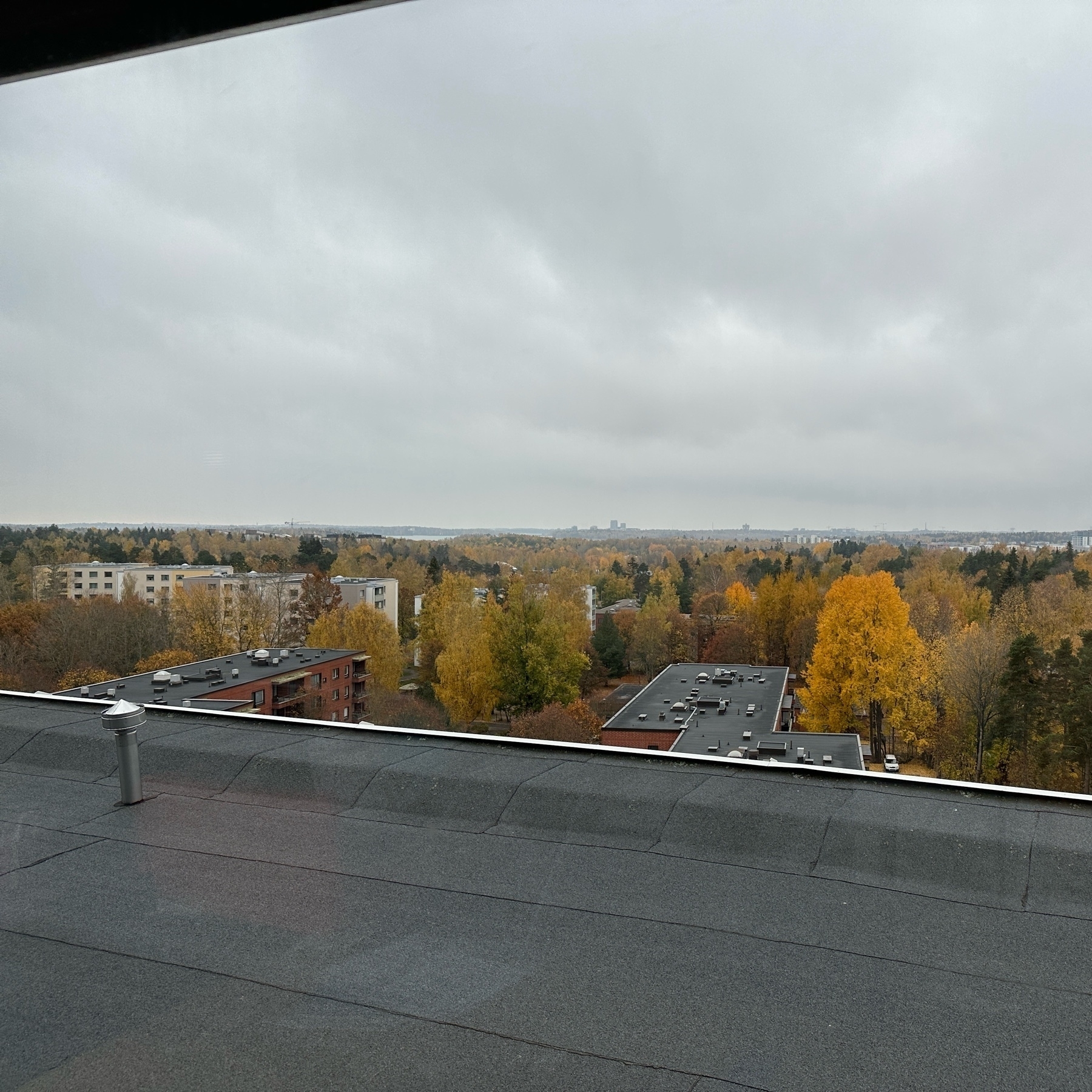 view towards some buildings, fall foliage, and some tall buildings in the horizon