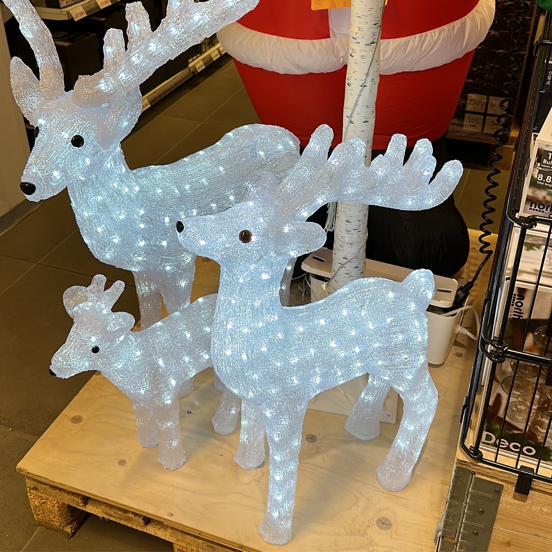 reindeer shaped christmas lights size of a small dog