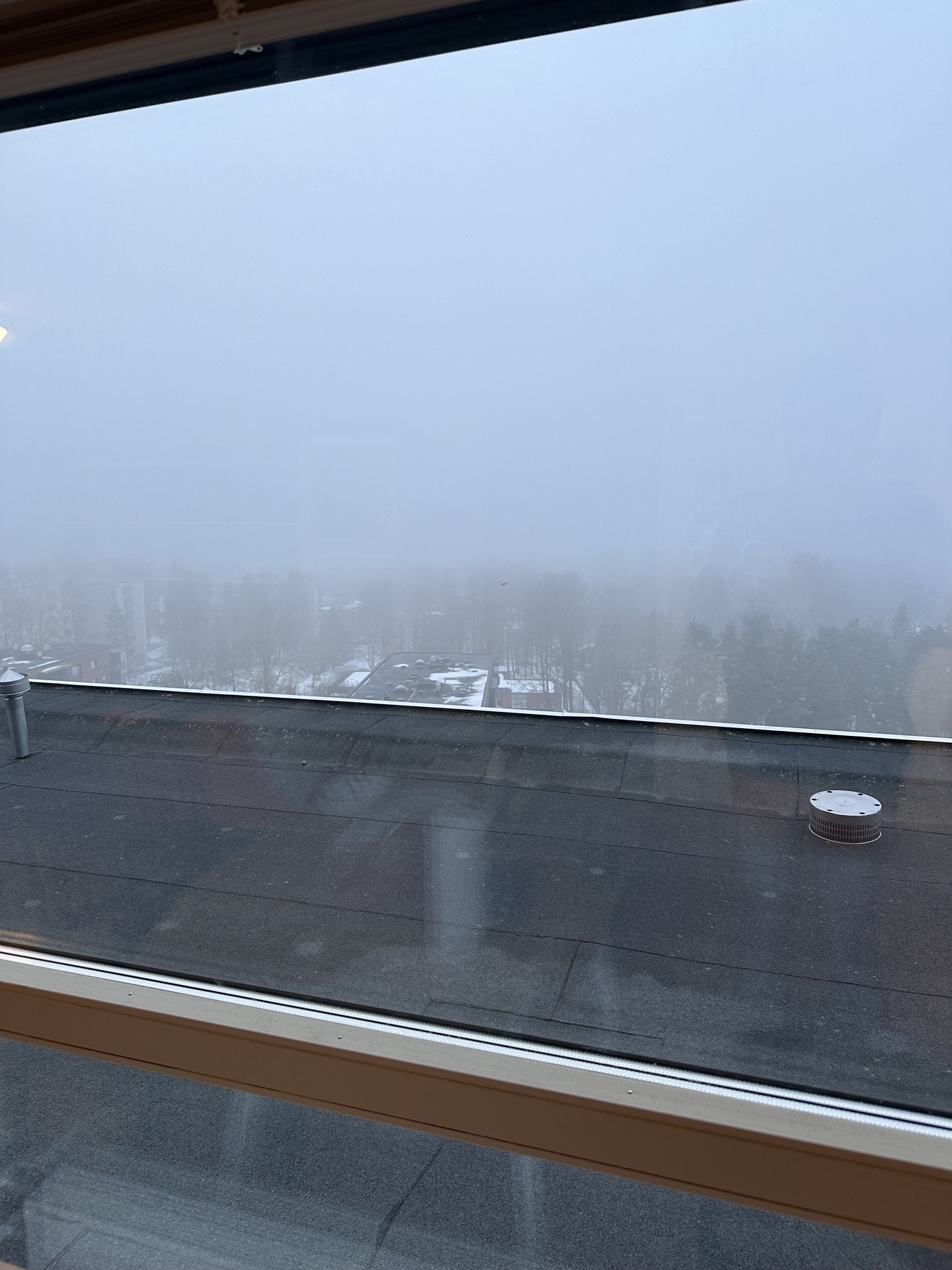 View out of window. It is extremely foggy out