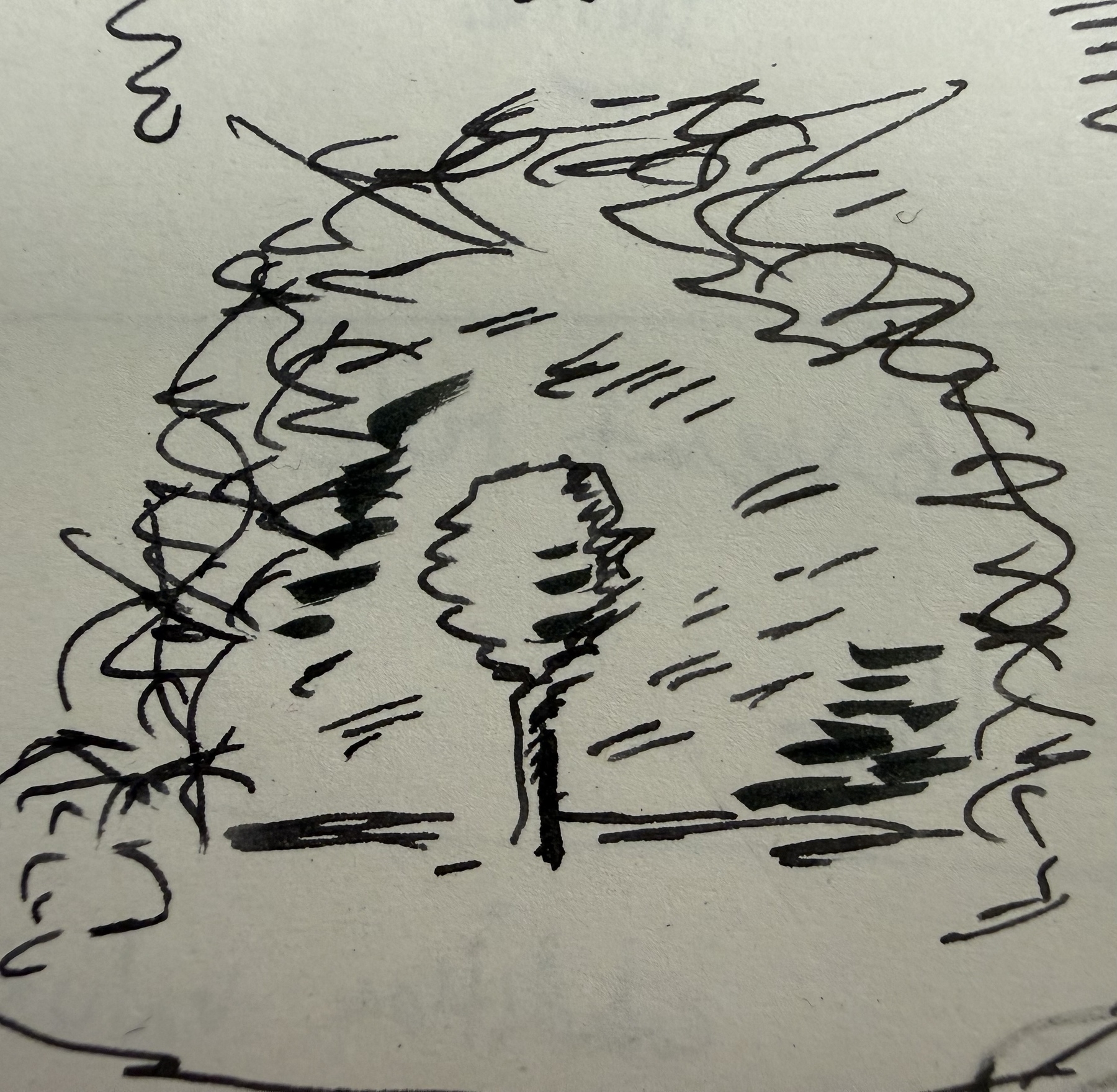 Quick draft of an idea. You can see through a very rough u-shaped idea of a mustache and there is tree and sky seen