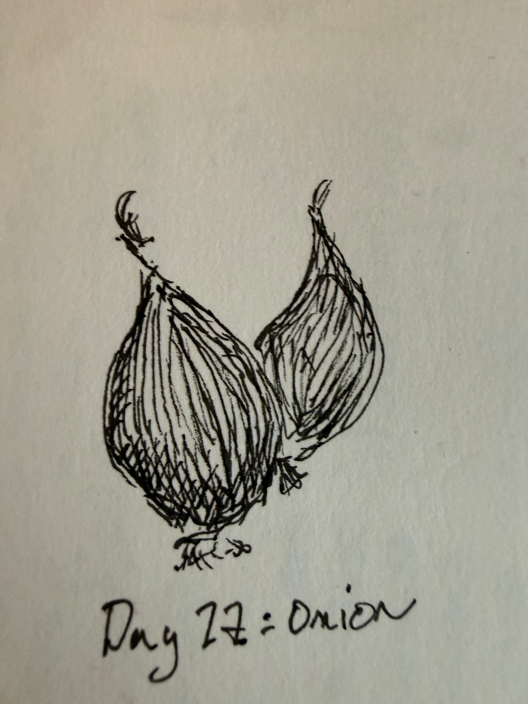 Two onions that kind of look like a heart together&10;&10;Fineliner pen