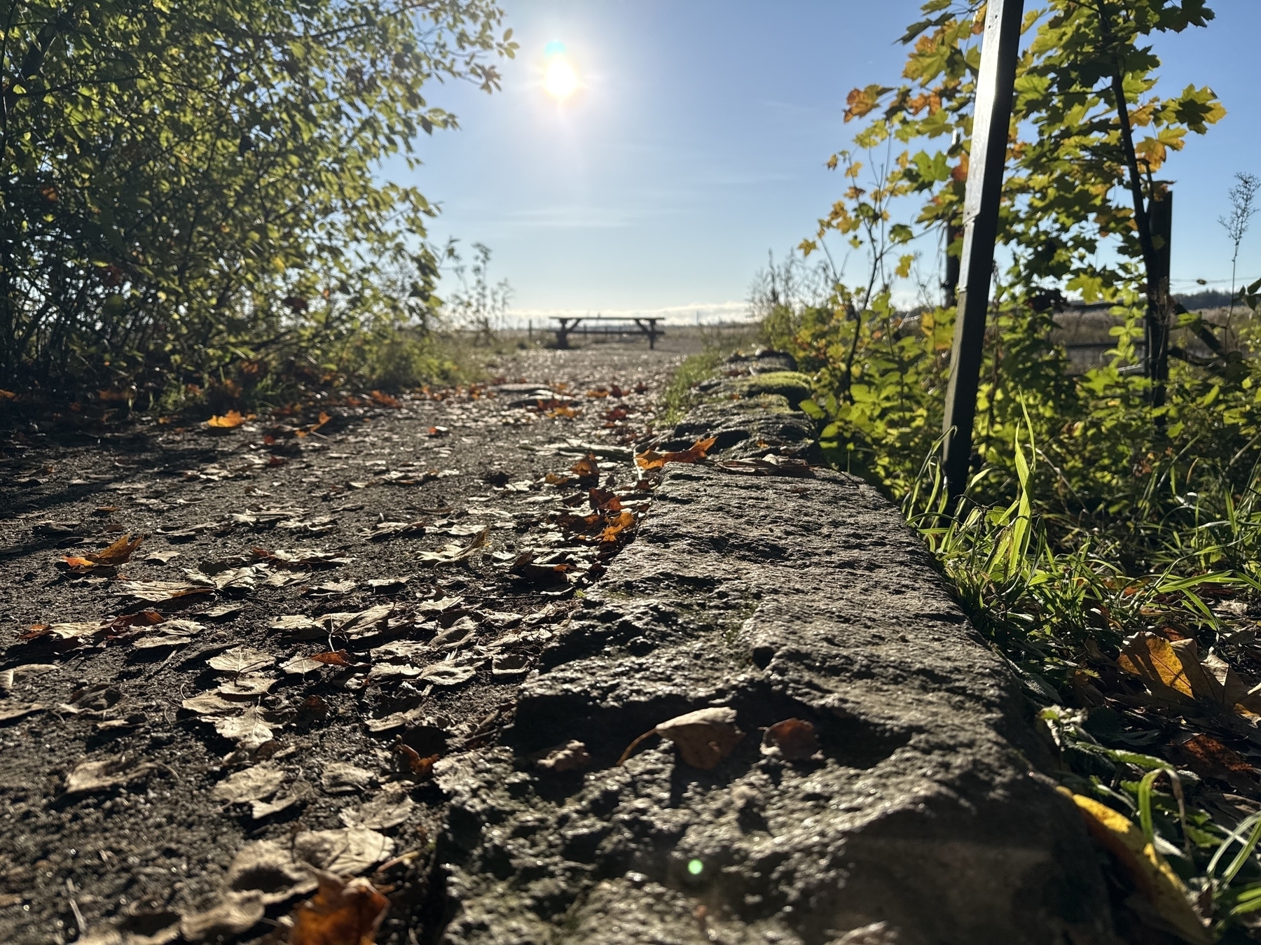 Photo with a bench in the back, some leaves and peer rocks in the fronot. Feel of crisp autumn morning