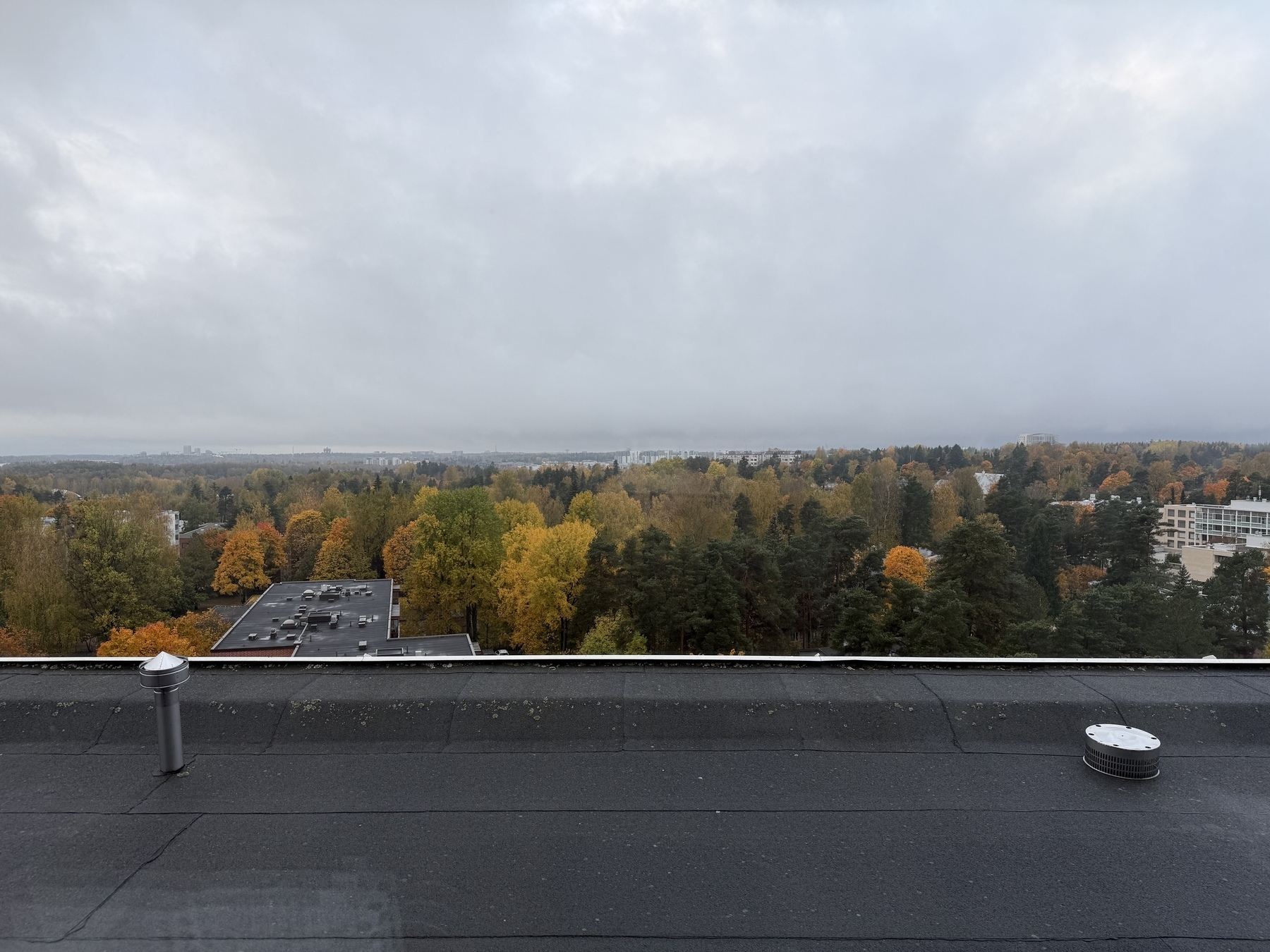 View from window. Trees are in all shades of yellow, red, orange and turning brown and already losing foliage