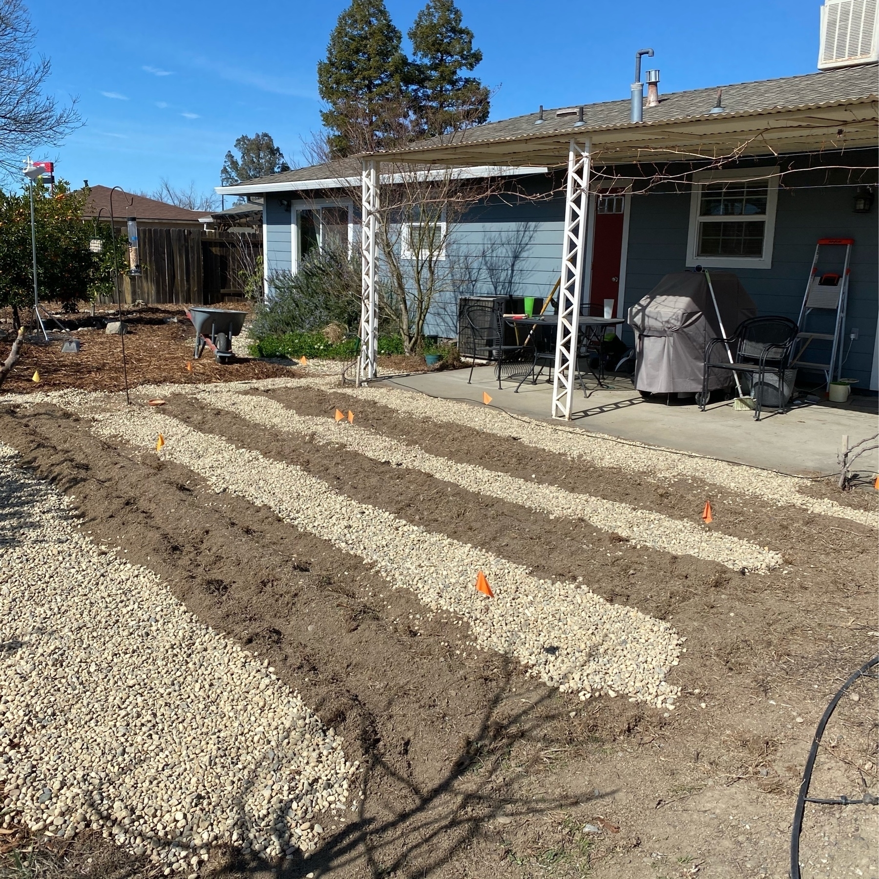 tilled and rocked with three garden rows