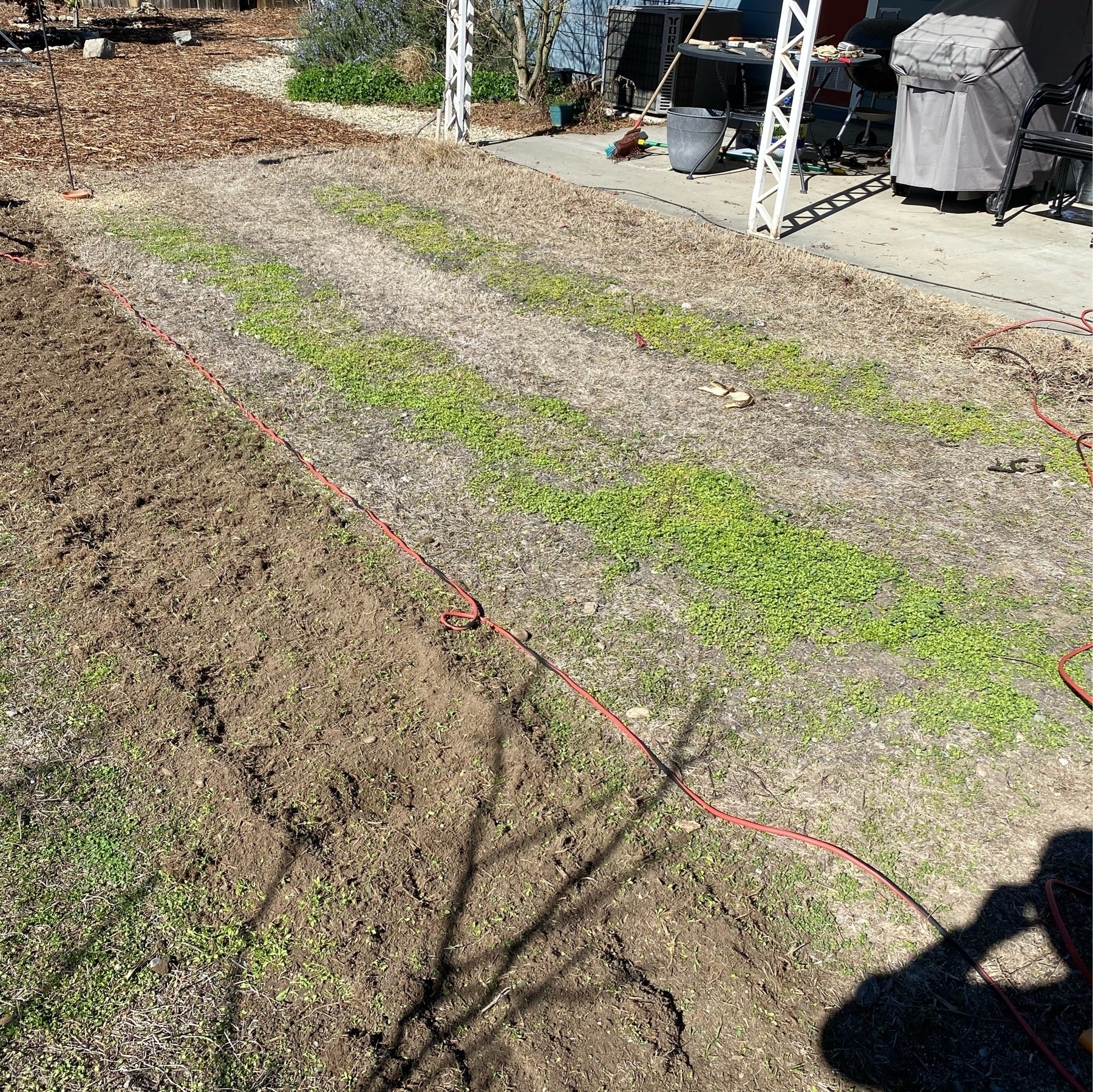 before most of the lawn removal, showing three garden rows but not yet prepared