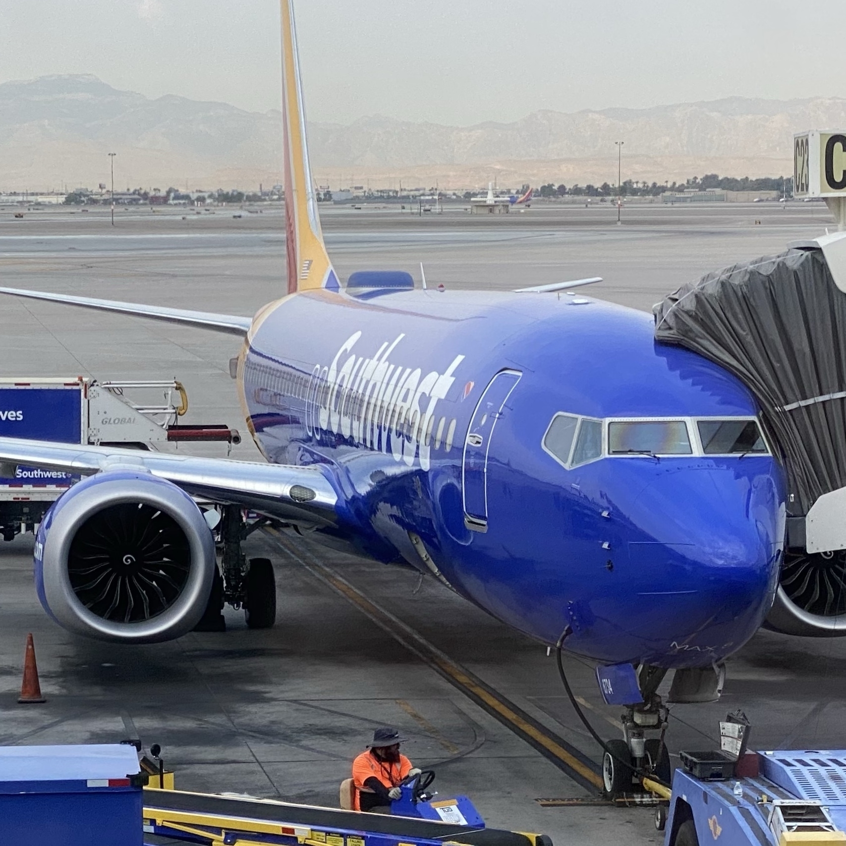Southwest 737-MAX8 at the gate.