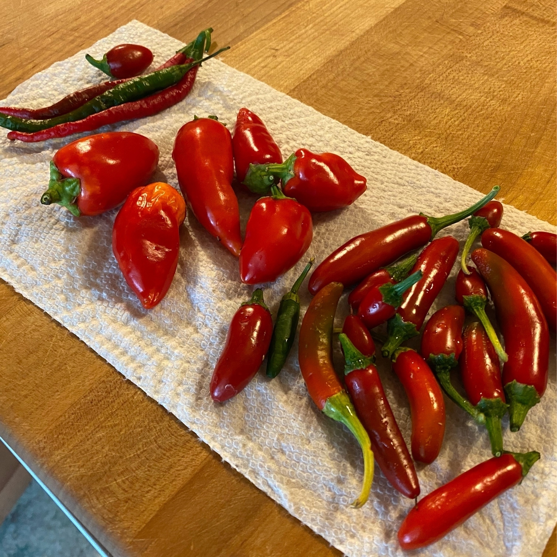 red ripe thai, santa fe, serrano, and jalepeno peppers on a cutting board