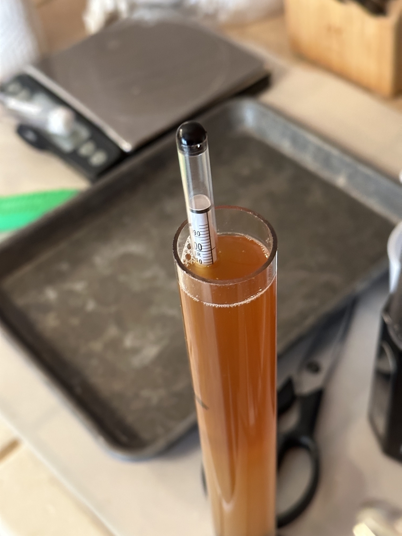 A gravity measuring device in a tube vessel with amber beer. The meniscus is at 1.010.