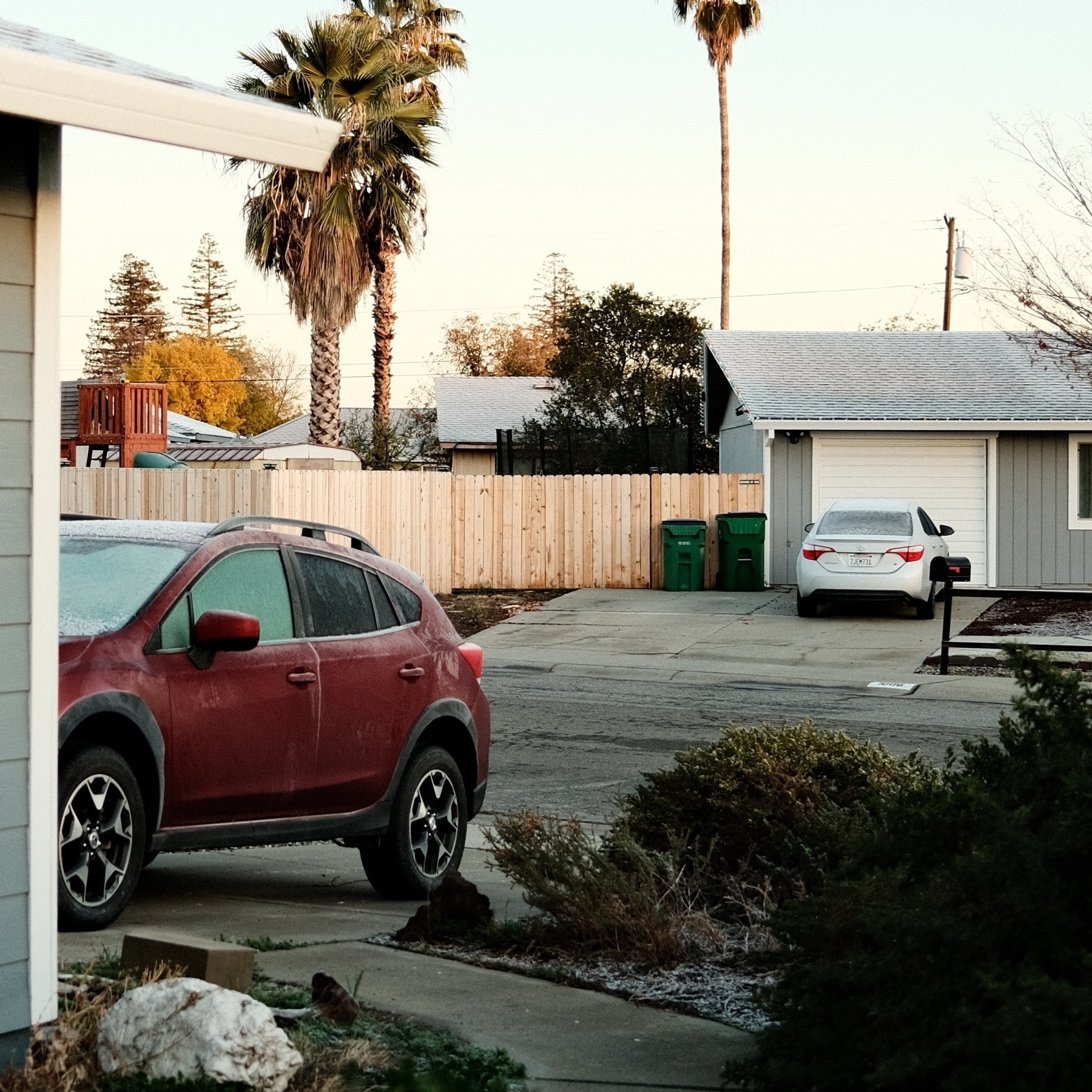 within a residential area, frost on a roof, car, and the ground with palm trees in the distance