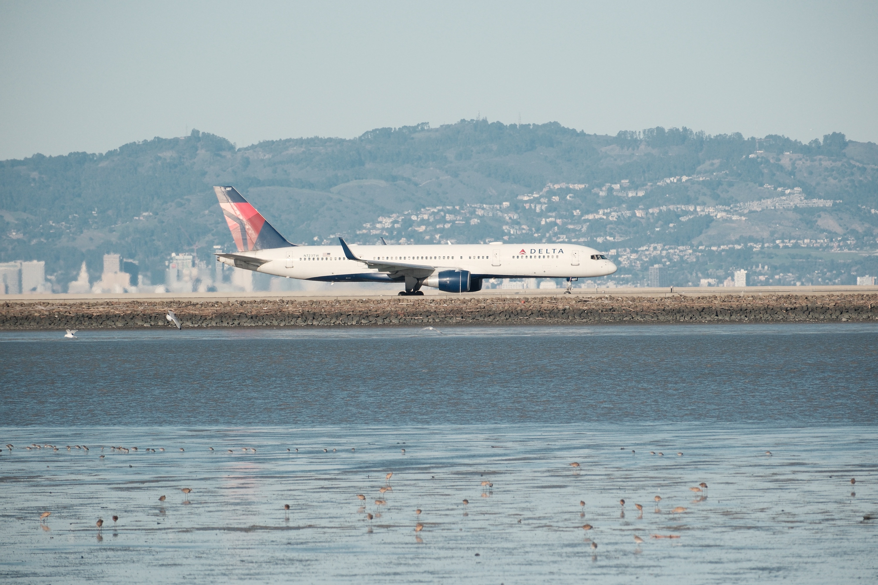 DSCF1203.jpg Delta 757-200 (N723TW) is taxiing under clear, yet somewhat hazy, skies. The Berkeley hills are very clearly visible, along with the skyline of Berkeley and Oakland. Sandpipers are lounging in the bay in front of the SFO runway landfill. Sunlight is refleting off the Delta's red arrow tail. The 757 doesn't look so goofy here as part of its gear wheels are obscured by the landfill's riprap.