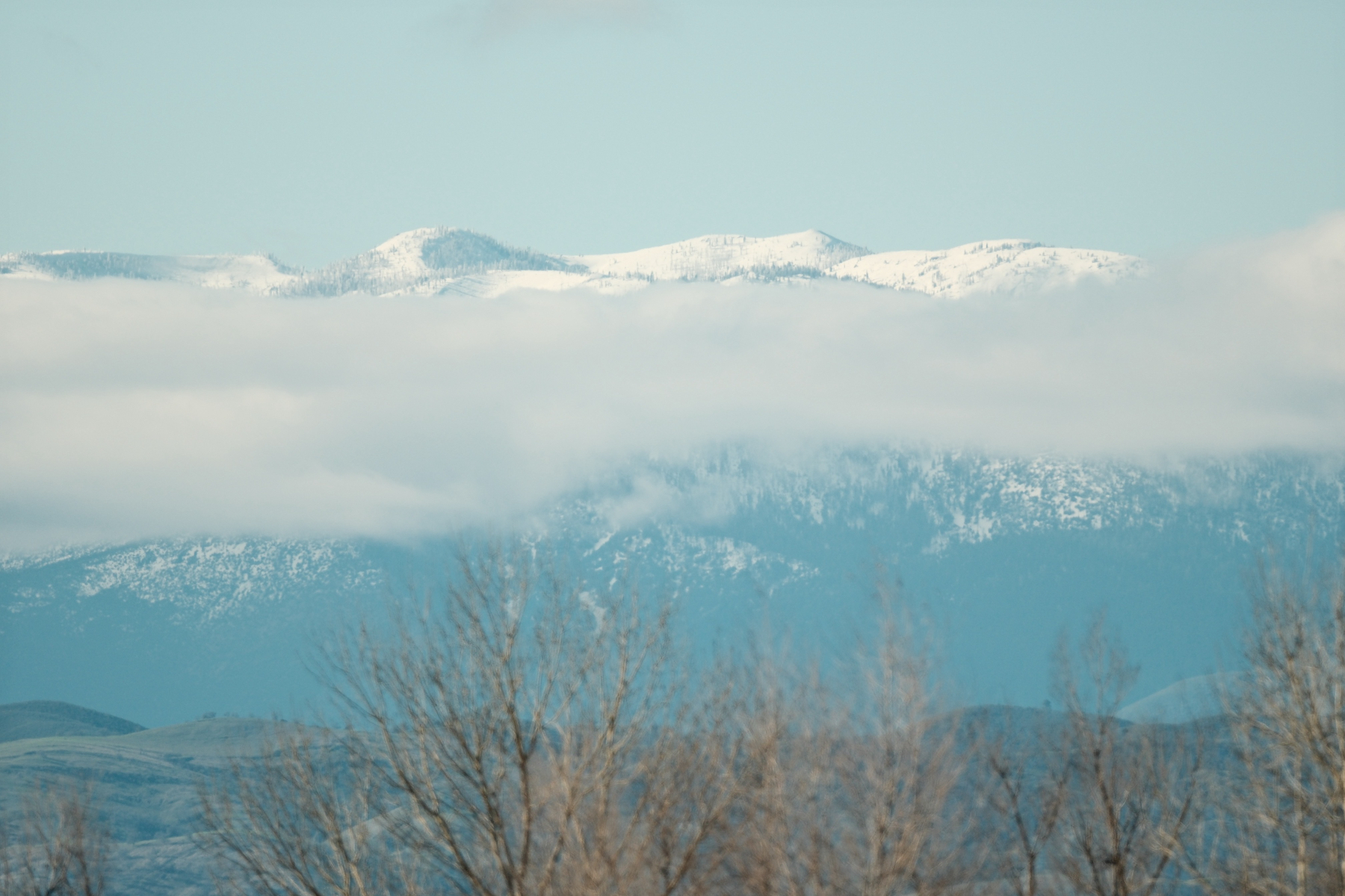 A telephoto view of a few steeply rising freshly snow covered forested peaks, including Goat Mountain, in the Northern California Interior Coastal Ranges south of Snow Mountain and east of Lake Pillsbury on the Mendocino National Forest. The foothills and some blurry trees in the immediate foreground can be seen.