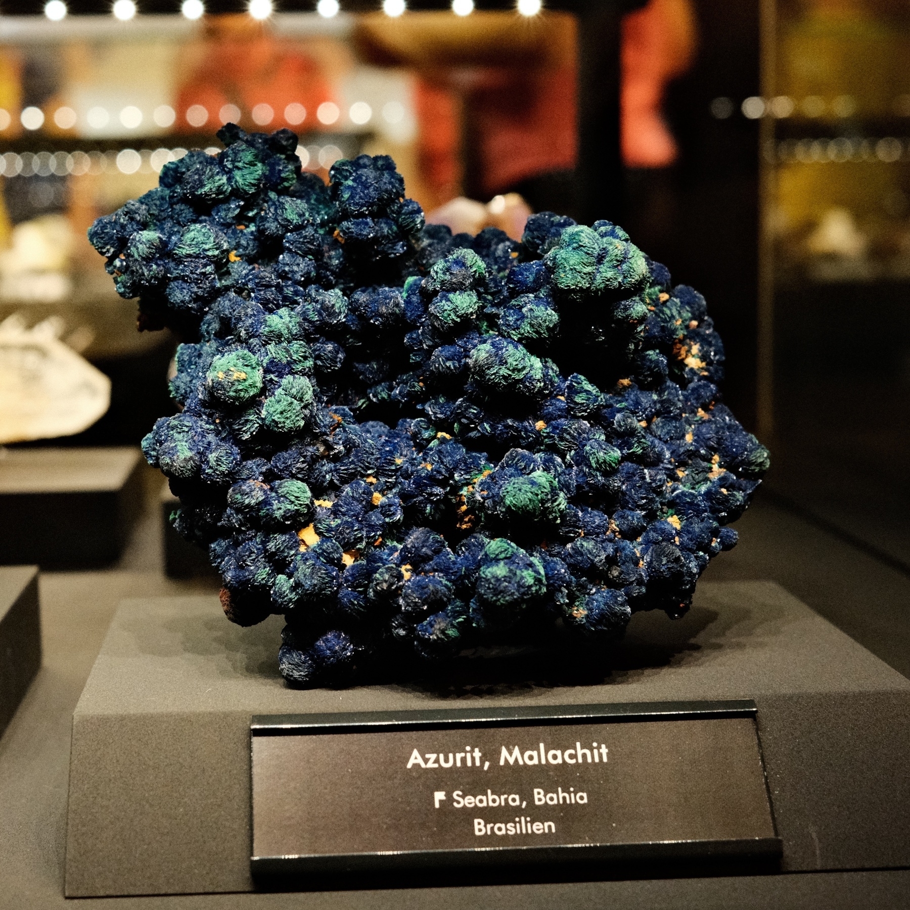 A professionally displayed hunk of dark blue nodular Azurite or Azurit (German) from Seabra, Brazil. There are some greener nodules of malachite. It looks like clumps of candy making a rock, all but ensuring that you’ll vote for it. Photographed with permission.