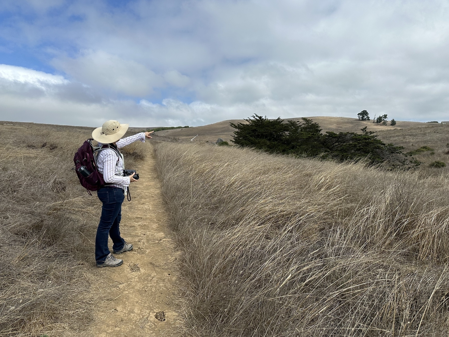 A human, wearing a backpack and a hat,  pointing toward a copse of trees in a swale of dried out grass. It’s a bit overcast with some sky showing through. 