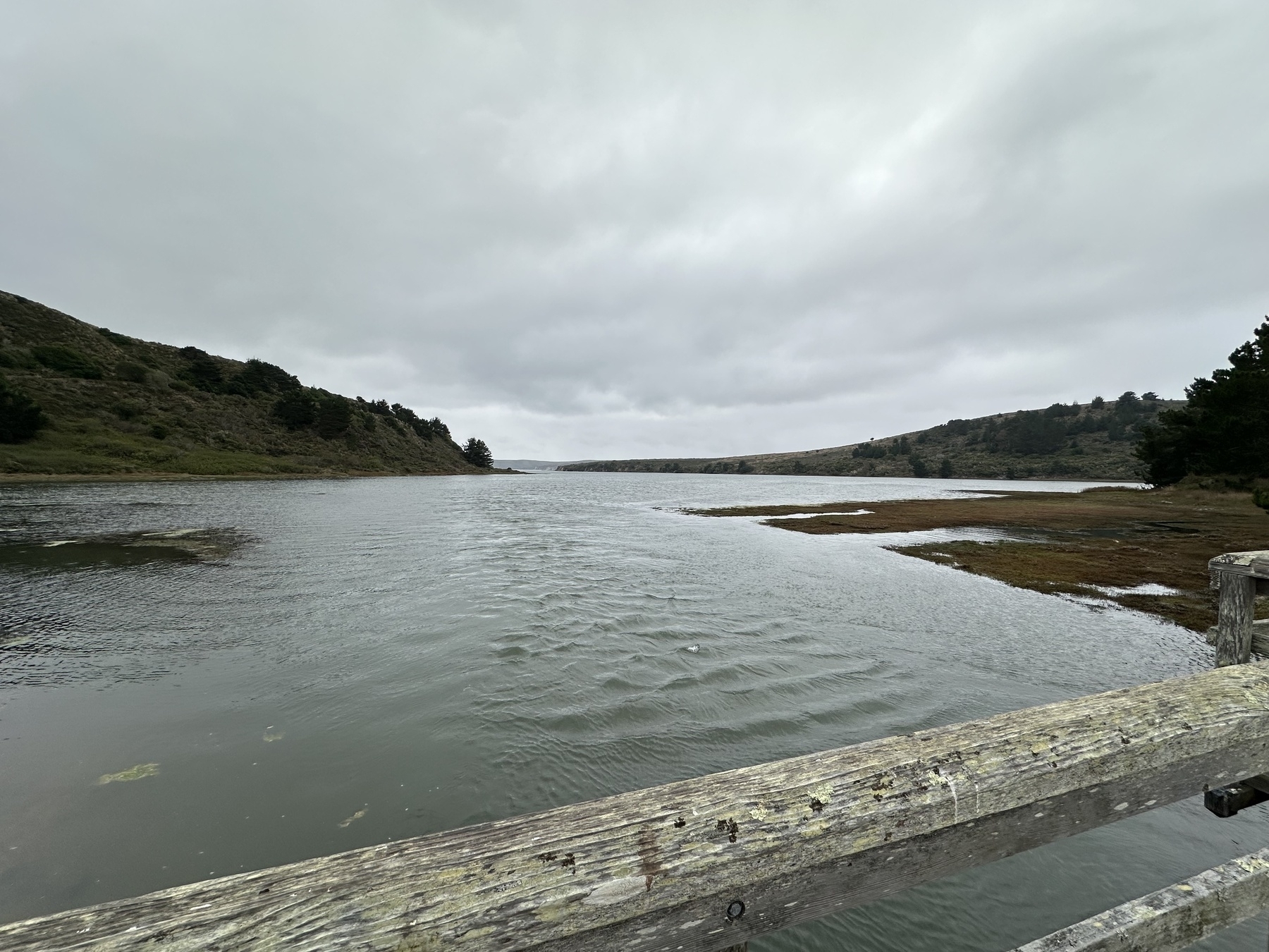 The Estero at Point Reyes National Seashore. The calm estuary has two fingers of ridges reaching into it, before vanishing under the water. It’s overcast. There’s a beat up wooden hand rail of a foot bridge framing the bottom of the photo.