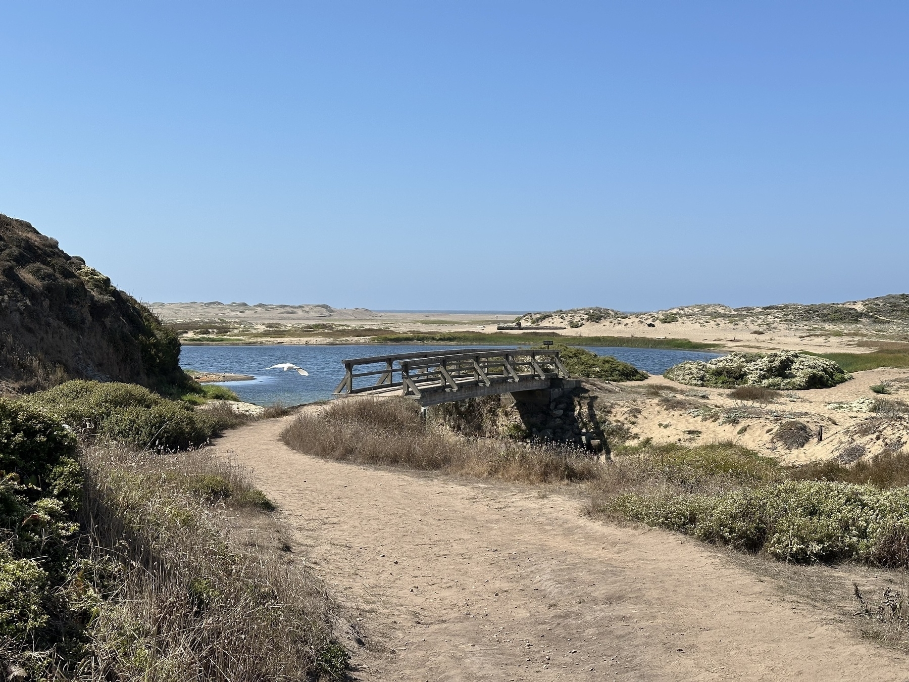 A trail leads to a bridge that’s just before Abbotts Lagoon. An egret can be spotted flying past the bridge. The area is bounded by shallow dunes. 