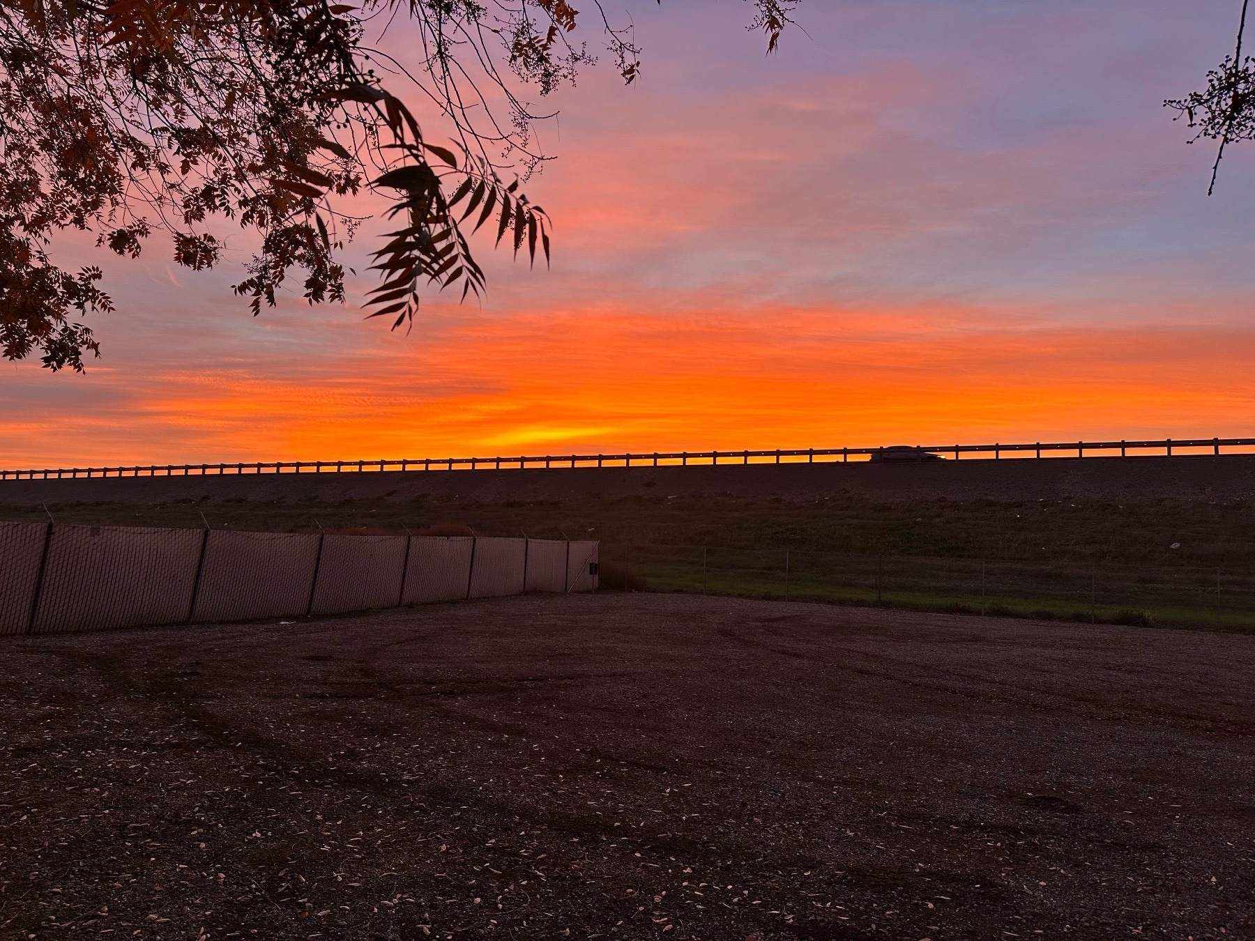 High altitude clouds reflect bright orange to light pink of s sunset beyond dry gravelly area with an overhanging tree, a fence, and an elevated freeway where the guardrails & a car is silhouetted.