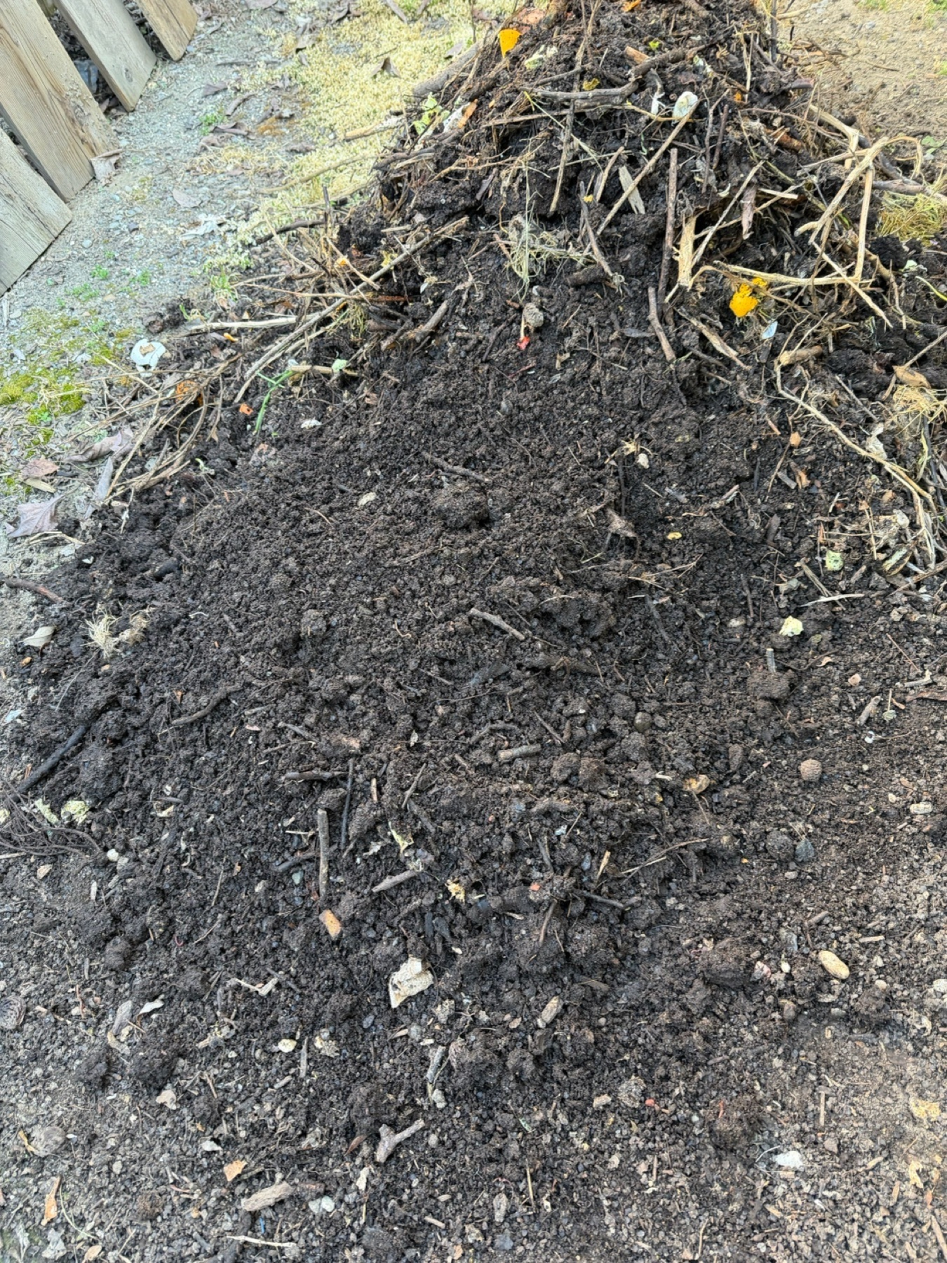 A dark, moist mound of ready compost next to a mound of active compost filled with organic matter and lots of coarse lignified material. 