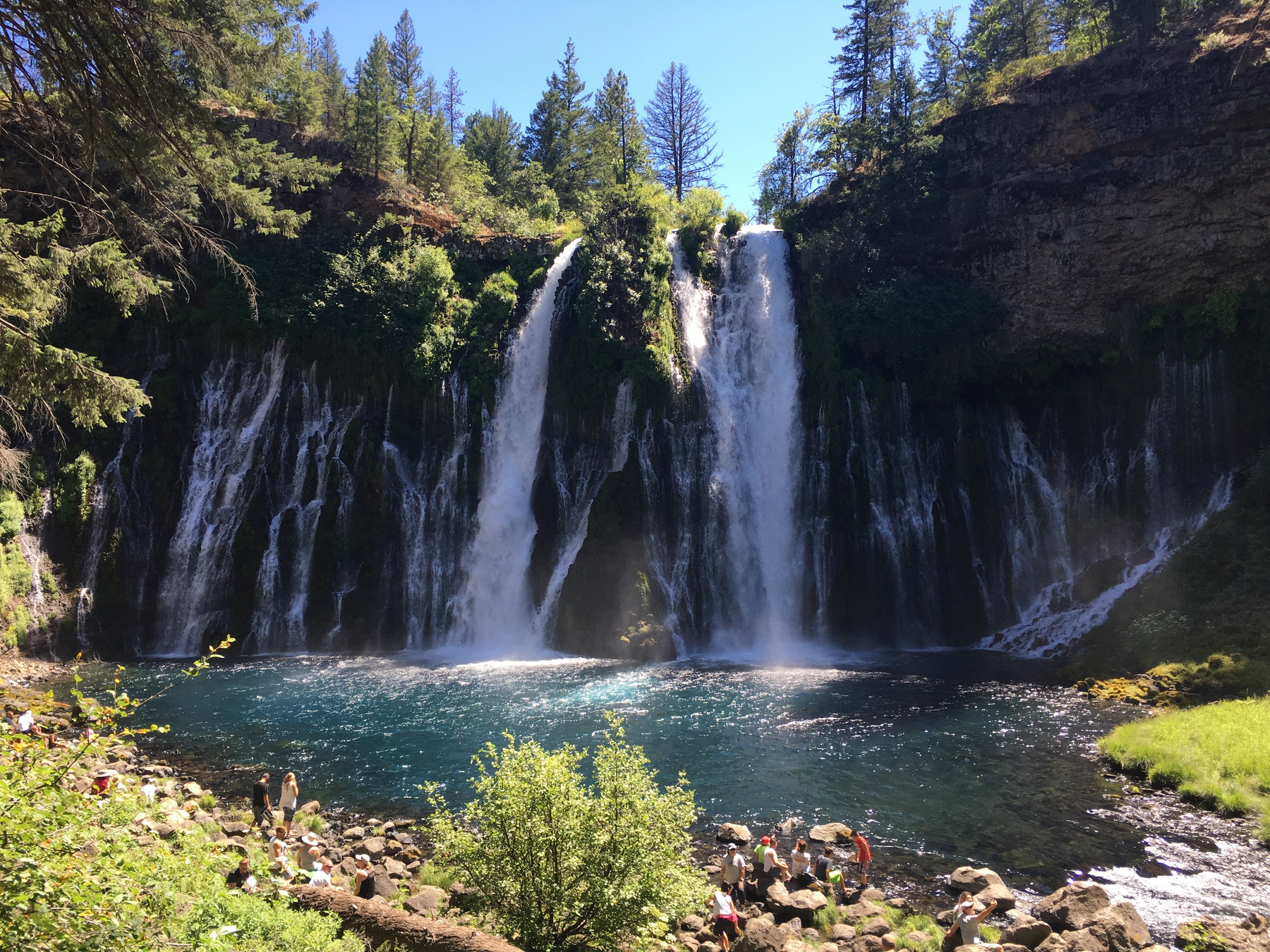 McArthur-Burney Falls flows mightily with two primary falls in the center with whitewater fed by Burney Creek and multiple smaller falls -- mostly coming from groundwater. The sun shines at the top of the falls and where their water crashes into a pool. A dozen or so people enjoy the falls from a sunny rock shore. Conifers frame the entireity of the photo, with a bit of grass on the right.