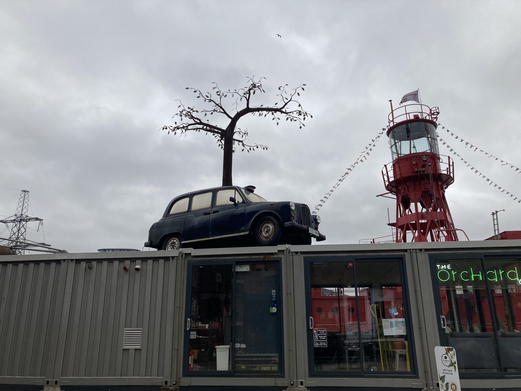 Taxi on the roof of a diner with a silver-leafed tree growing out of it