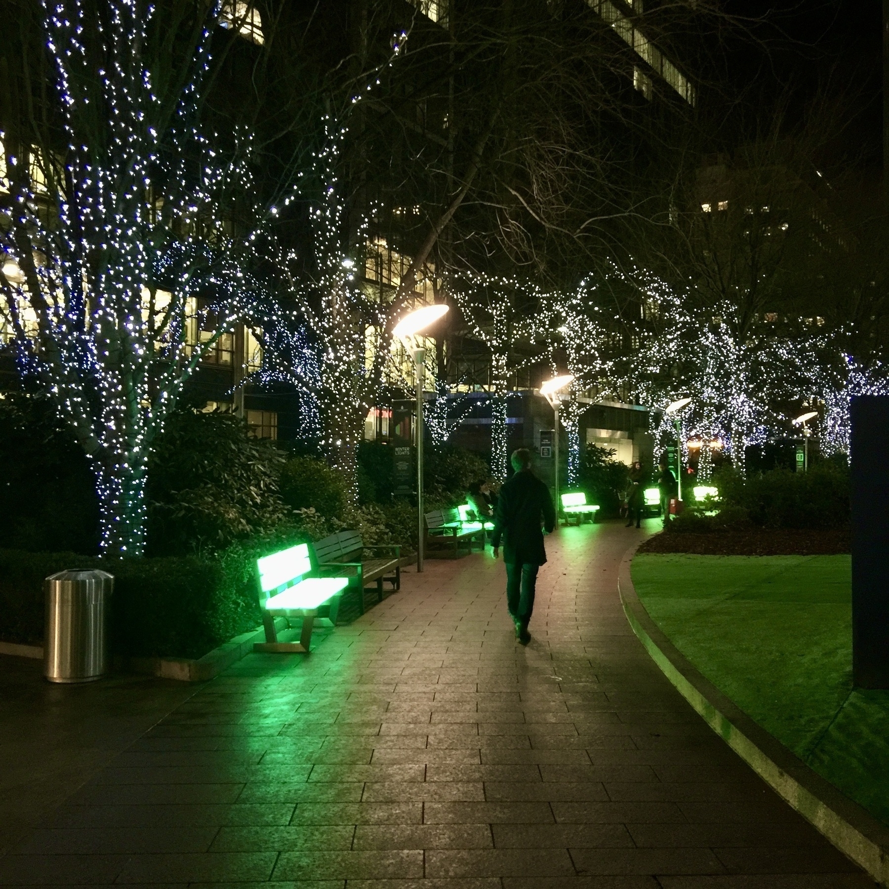 A smartly dressed man walks down the path in a park. The trees are lit with fairylights, the park benches glow green.