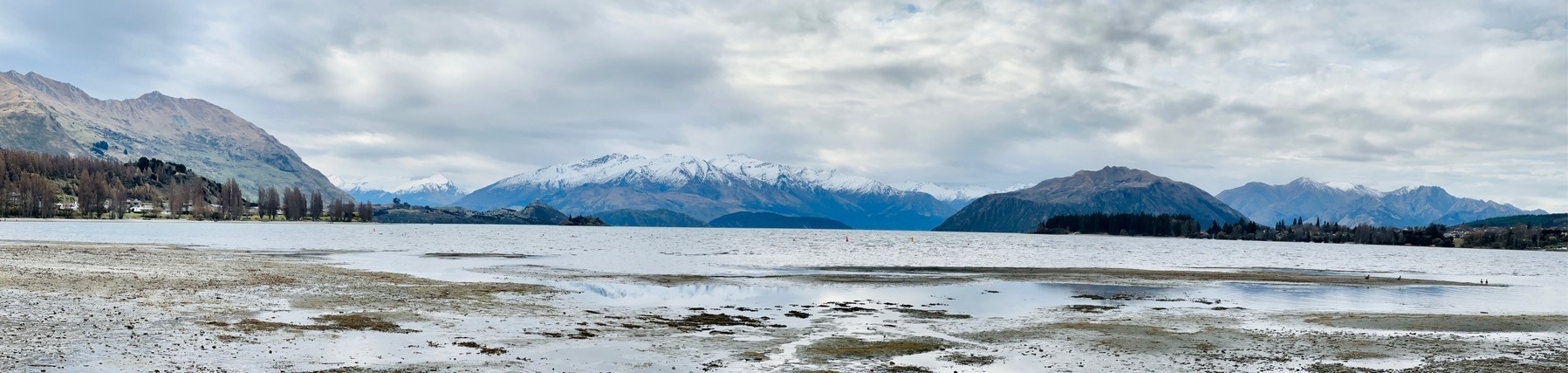 Panorama of Lake Wanaka, New Zealand. Evergreen forest on the lakeshore, snowcapped alpine mountains in the distance.
