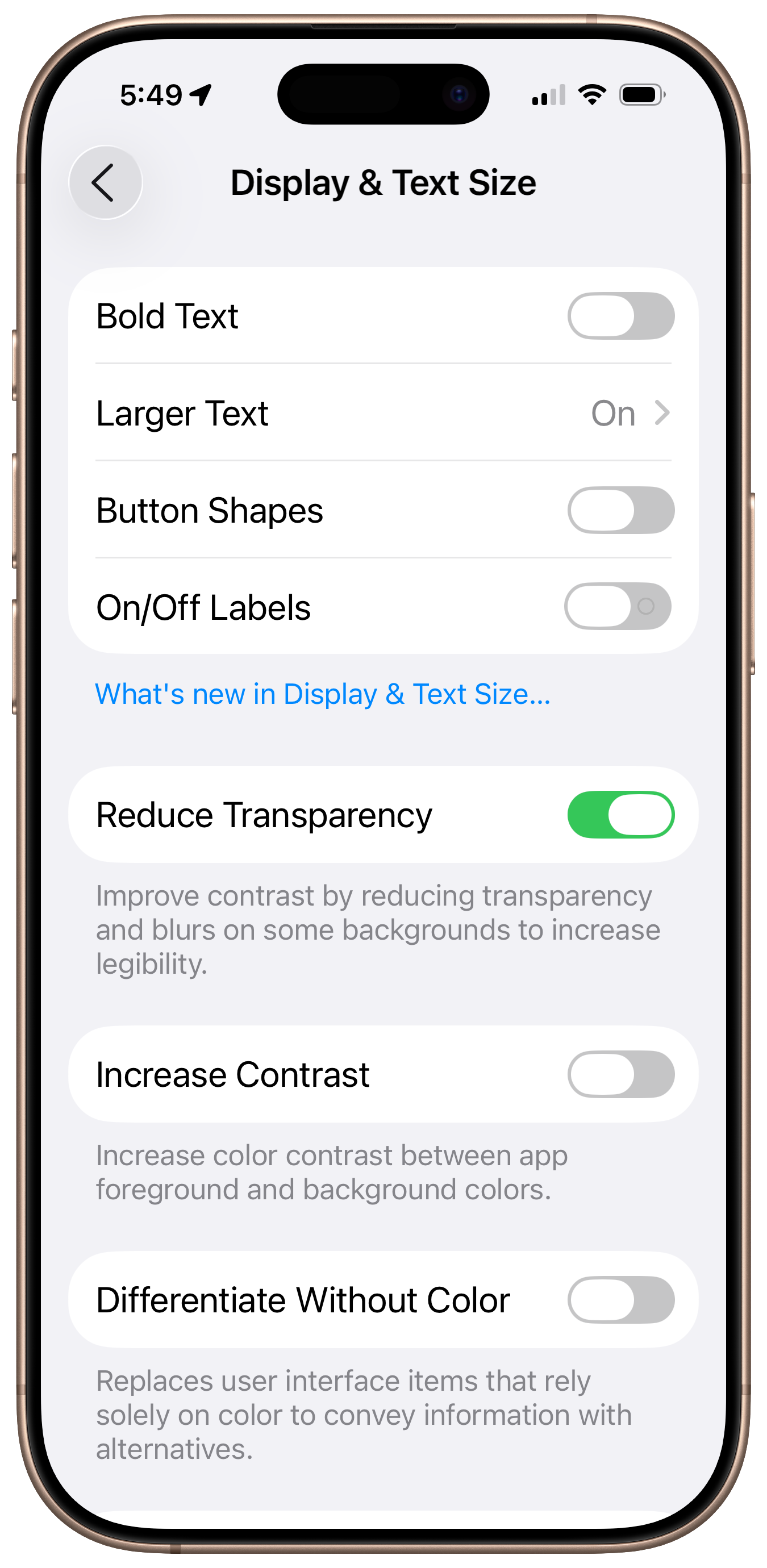 An iPhone screen displays the "Display & Text Size" settings menu, with options for bold text, larger text, button shapes, on/off labels, transparency reduction, contrast increase, and color differentiation.