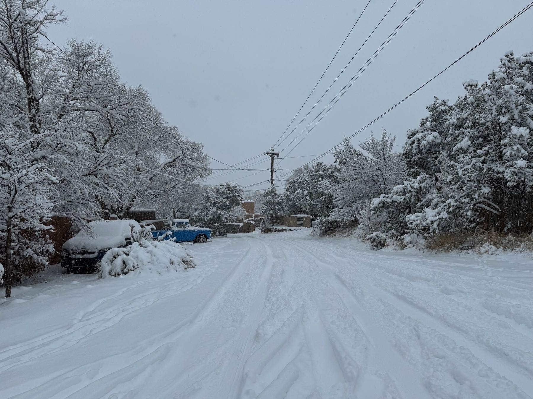 Street scene in hills above Santa Fe with deep snow covering trees and every surface including an old blue pickup truck