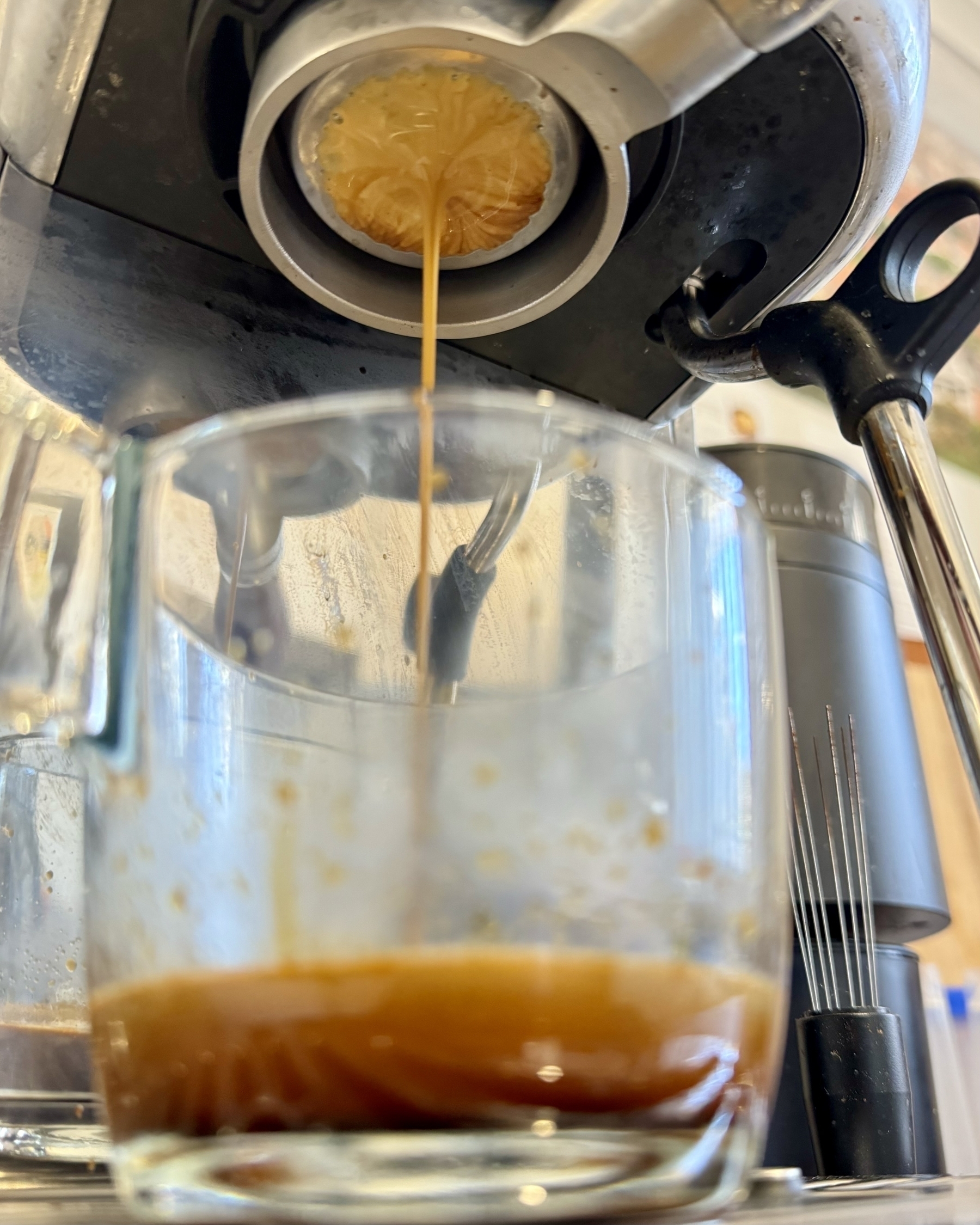 Espresso coffee shot being pulled into a glass mug.