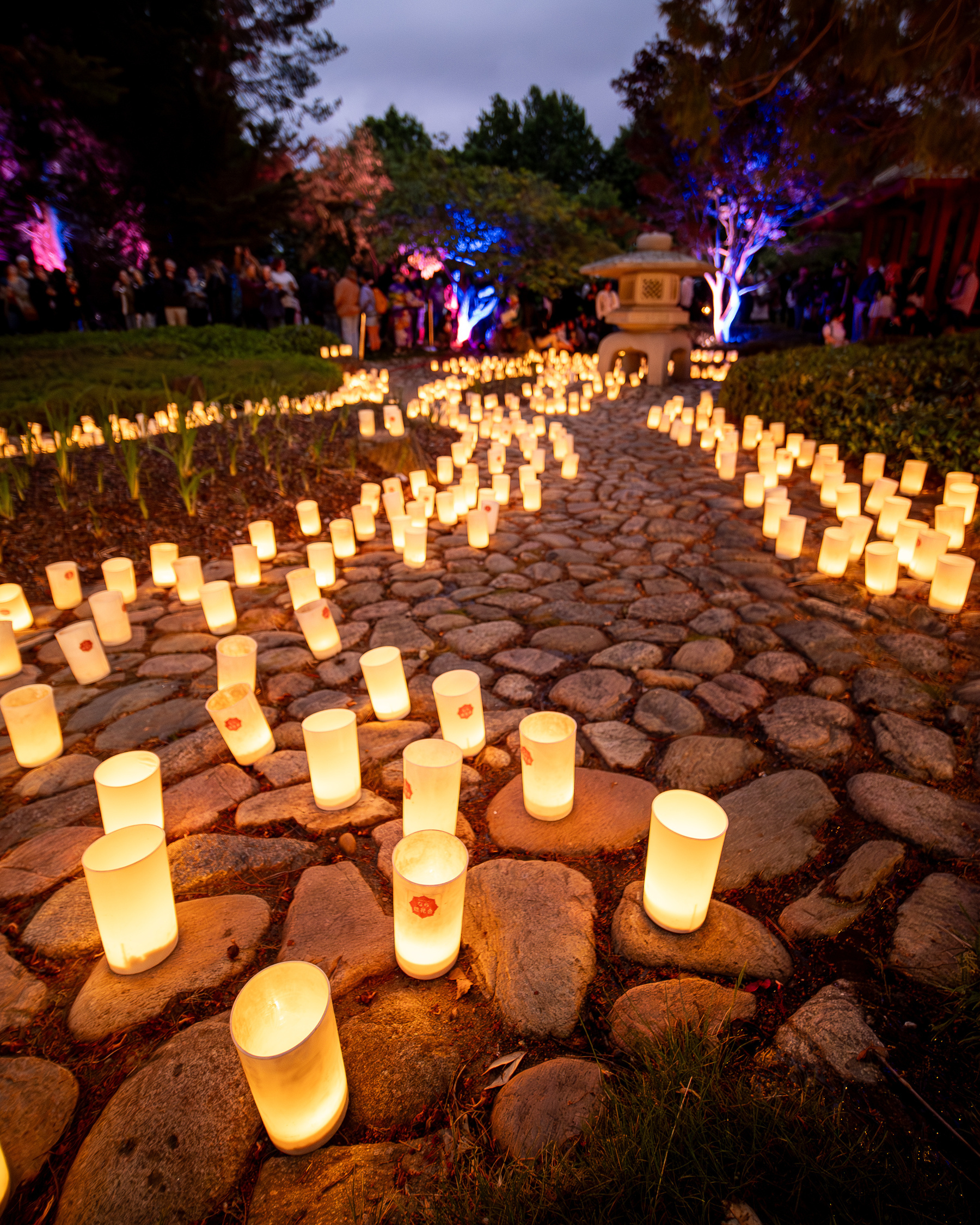 Candles covering the rock path with a Kasuga lantern in the background.