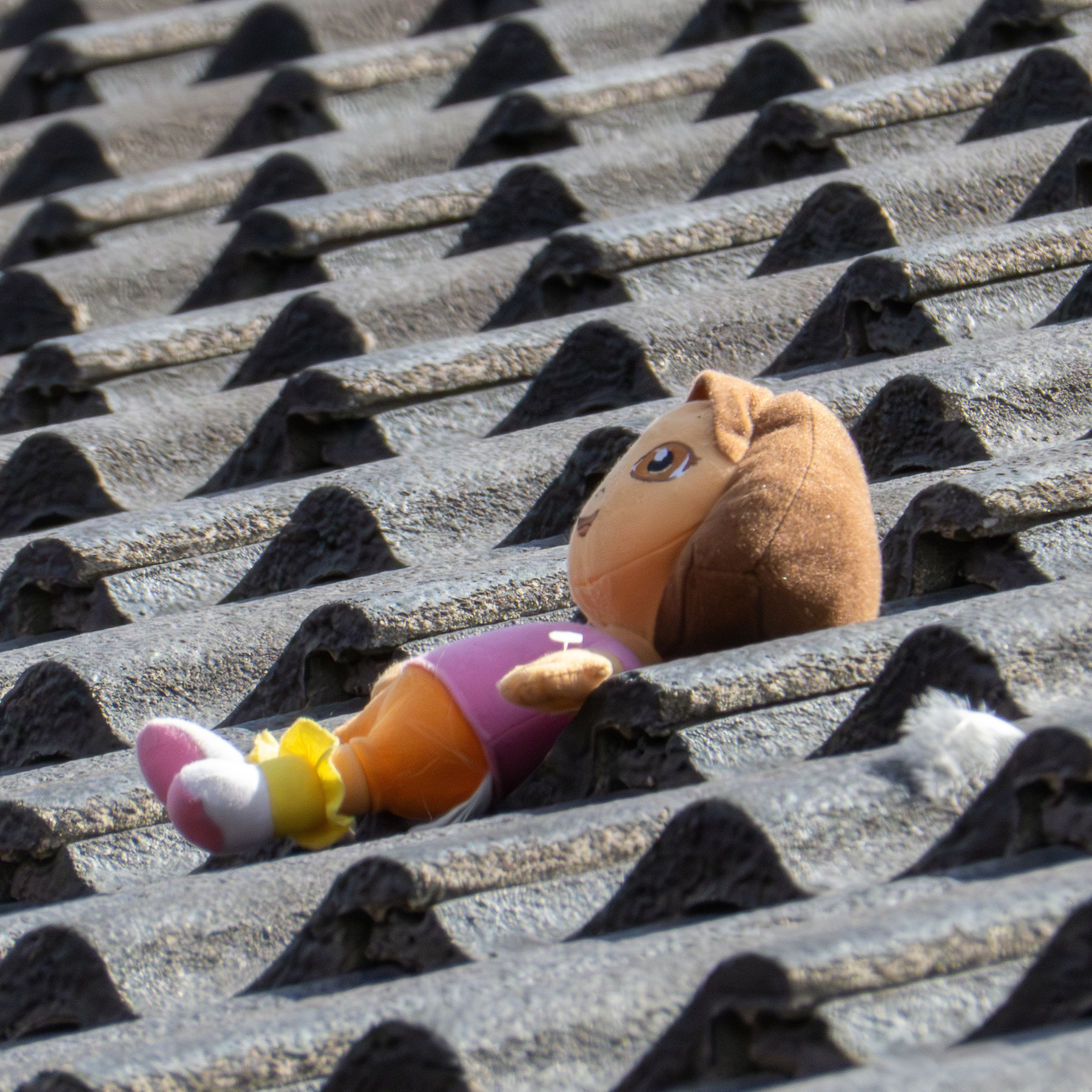 A Dora the Explorer soft toy lying on the roof of a house.