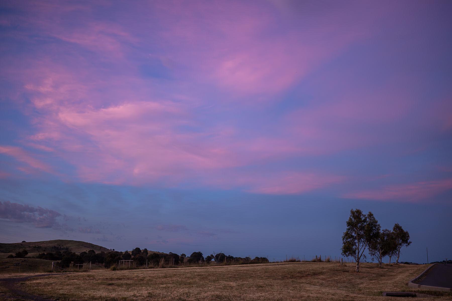 A purple and blue sky opposite the sunset with some wispy clouds. There is dry grass on the ground and a small gumtree on the edge of the image.