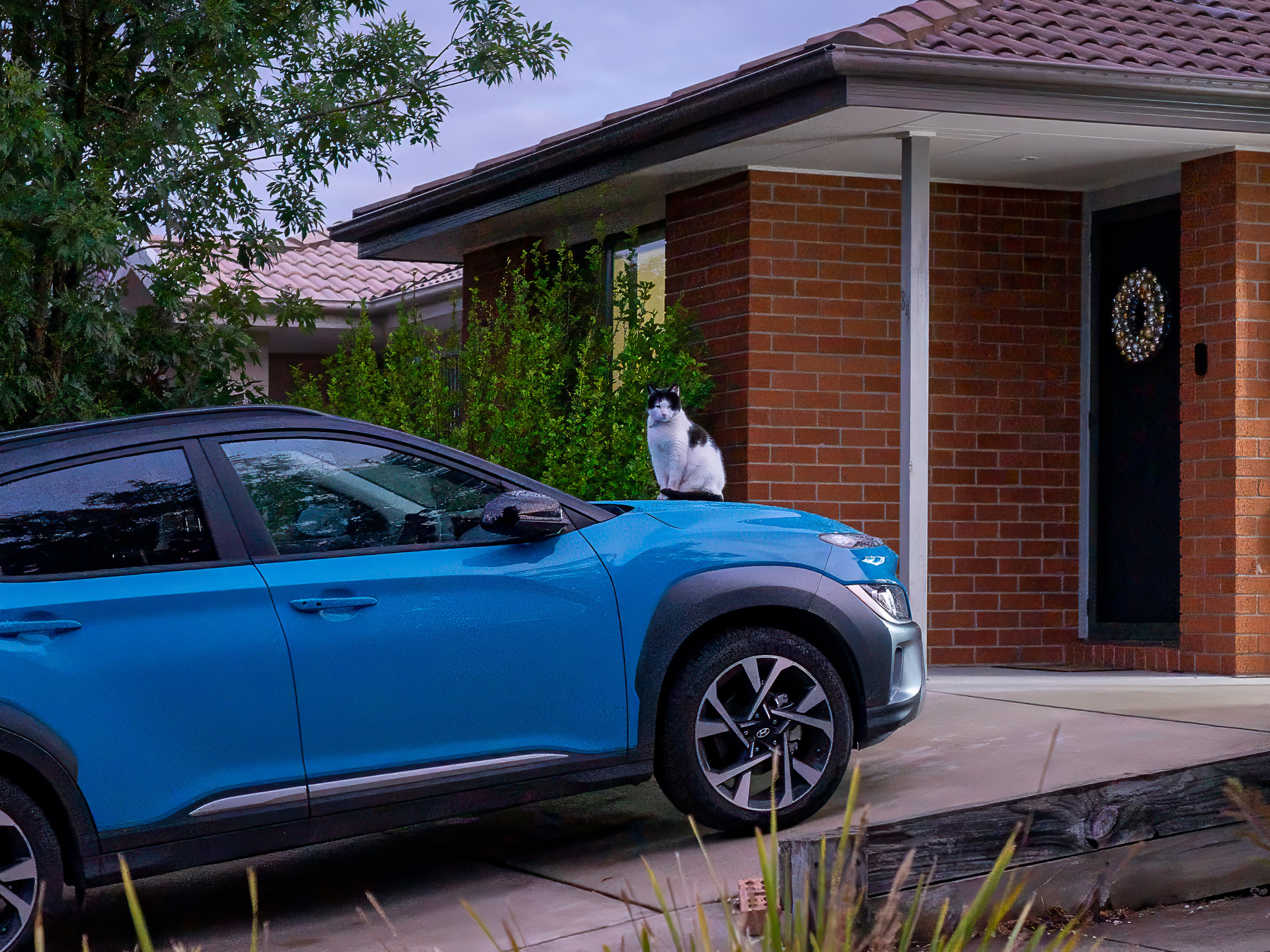 A black and white cat sitting on the bonnet pf a blue car.