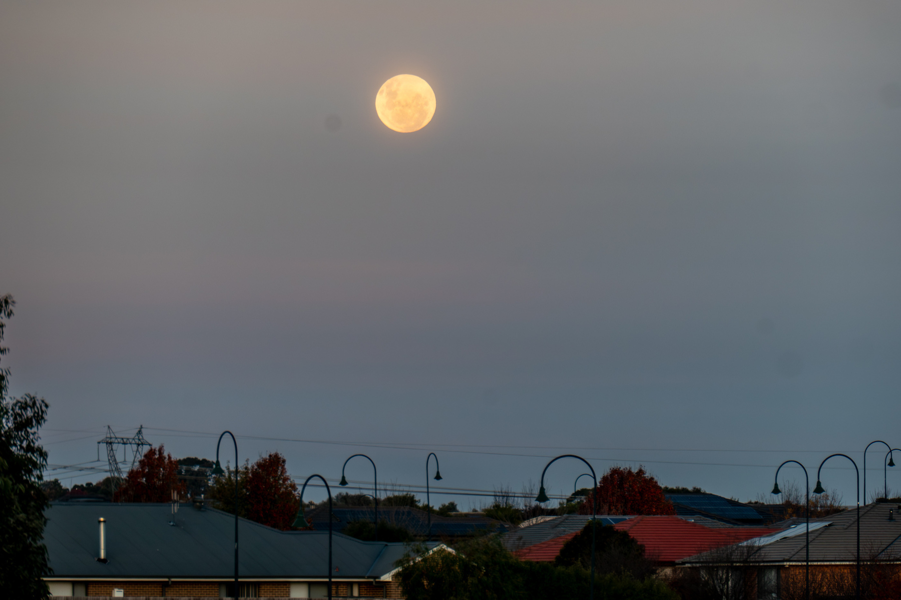 Moonrise. The moon low on the horizon, yellow in the sky above the roofs of houses.