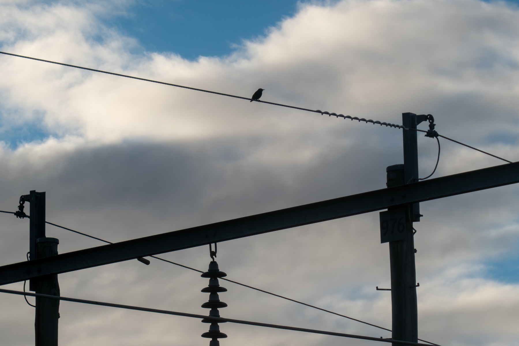 A silhouette of a single bird on a power line. Blue sky and white and grey clouds in the background.