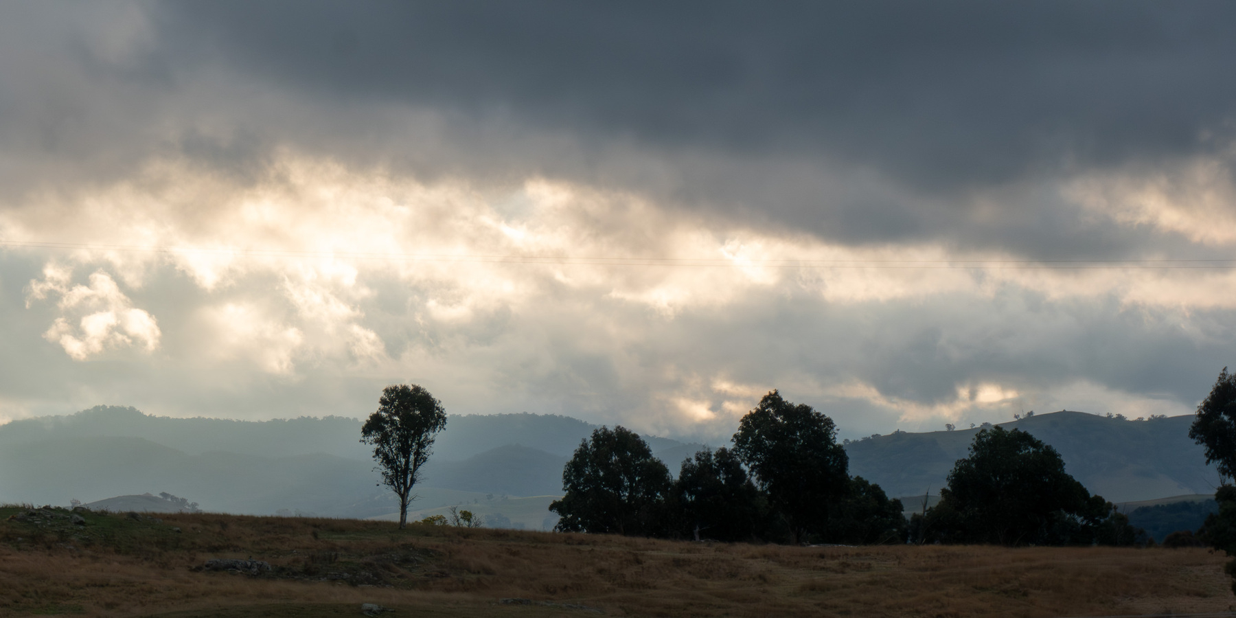 Clouds on the horizon with a few trees in the middle ground.