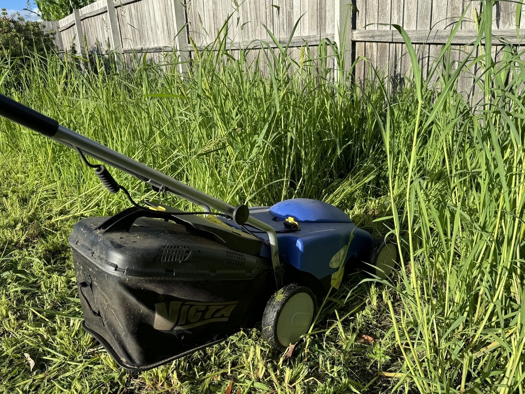 The lawnmower embedded in the long grass