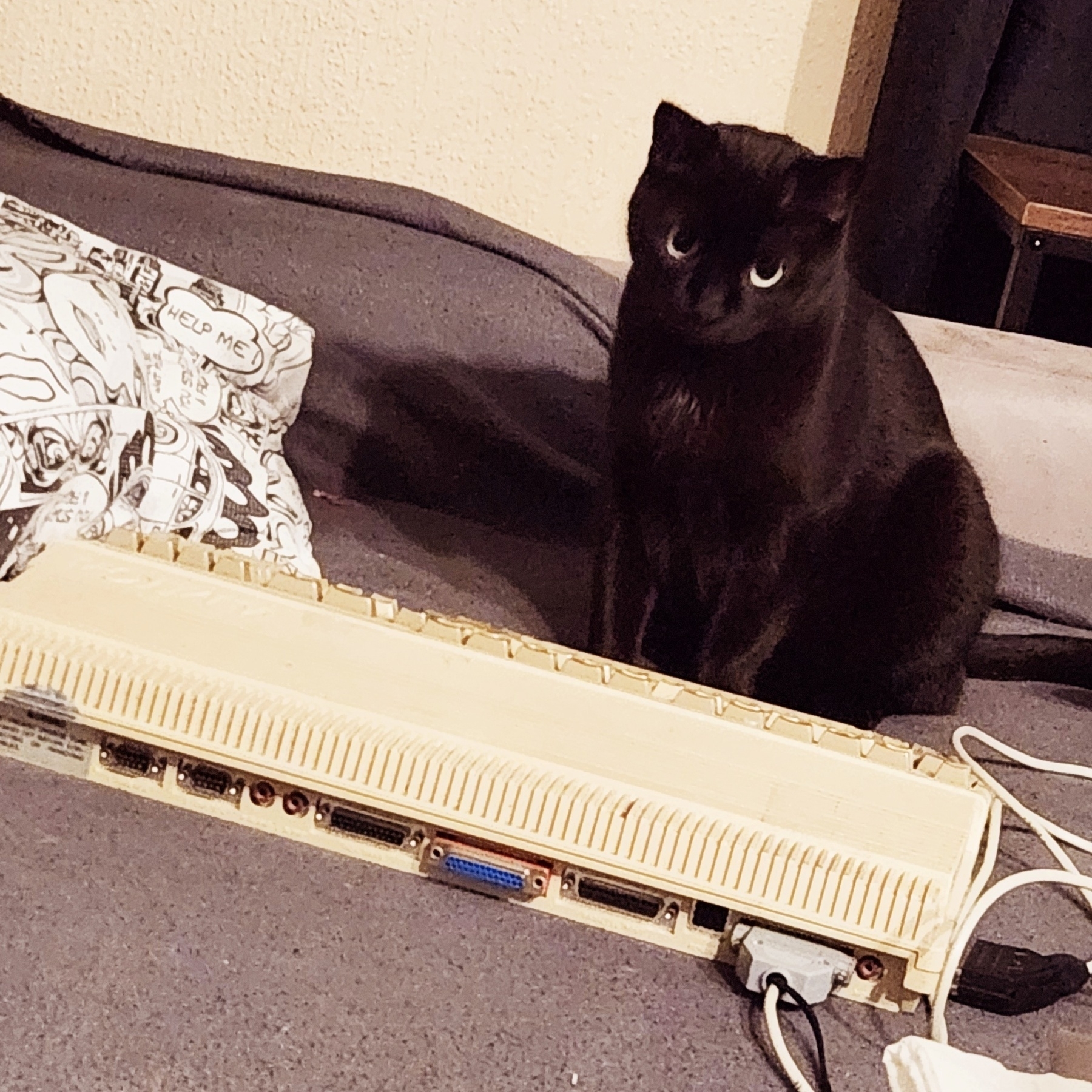 Black cat sitting in front of an amiga 500