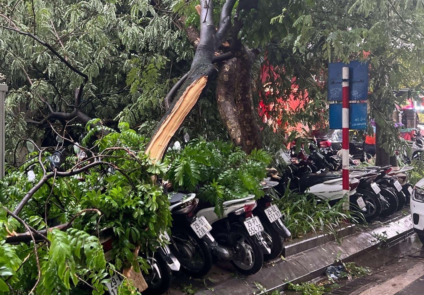 Snapshot from VNExpress, the first storms a day ahead of the actual typhoon's arrival already start flipping trees and burying scooters, cars, people 😞