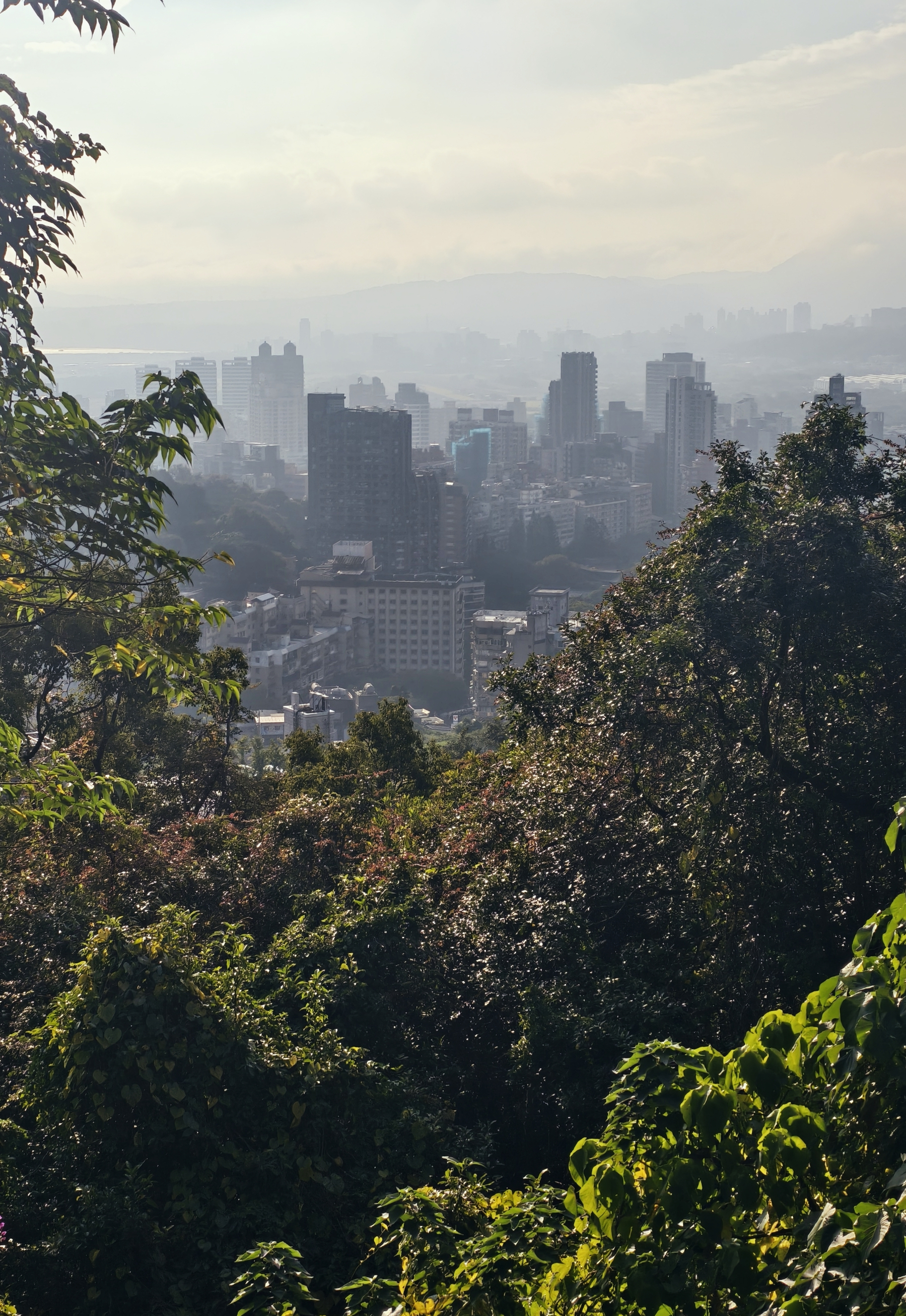 A skyline from above, framed by trees. The sky a mix of sun and light clouds 