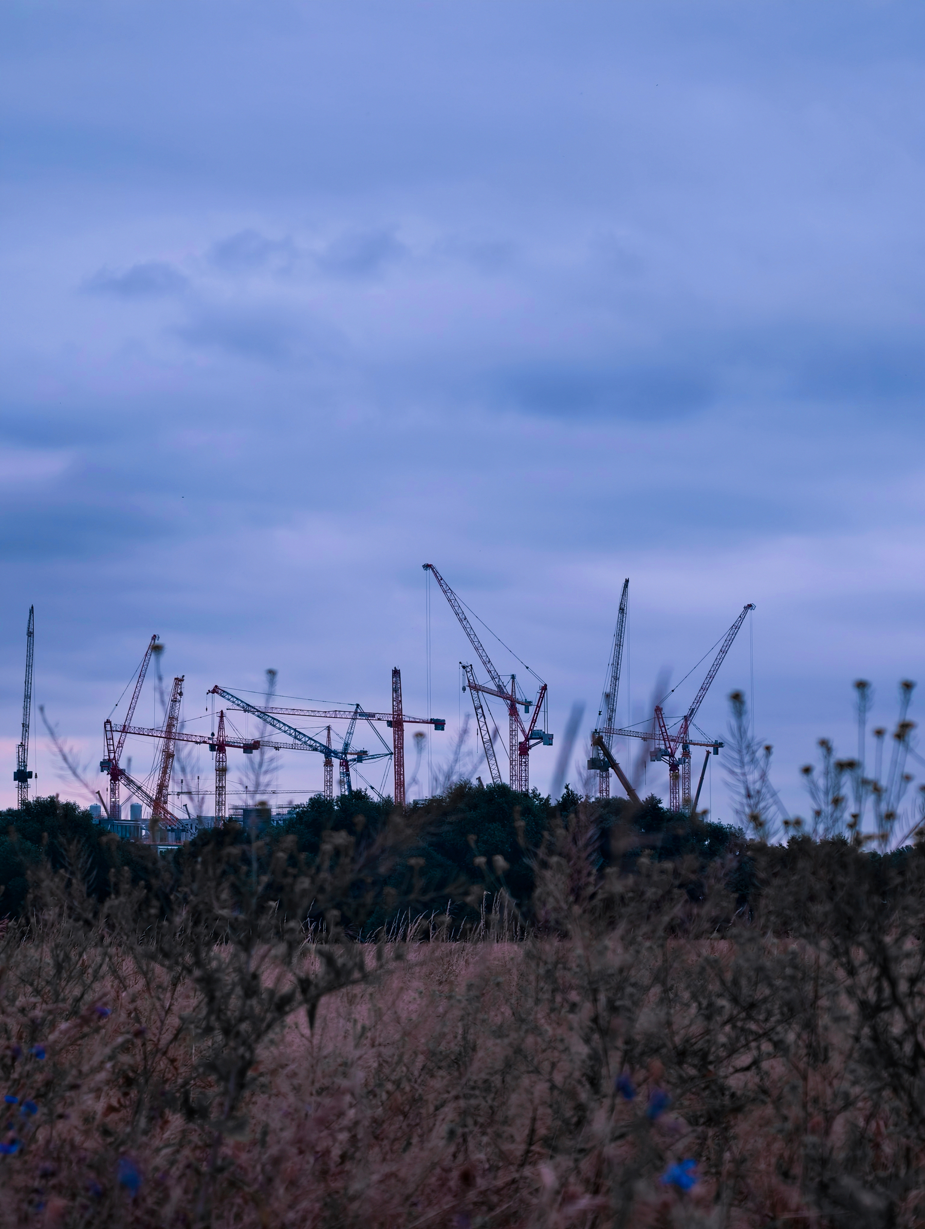 Lots of cranes from the distance, merging with the meadows, which is part of a compensation measure built 25 years ago when AMD (now GloFo) arrived in Dresden. This works surprisingly well