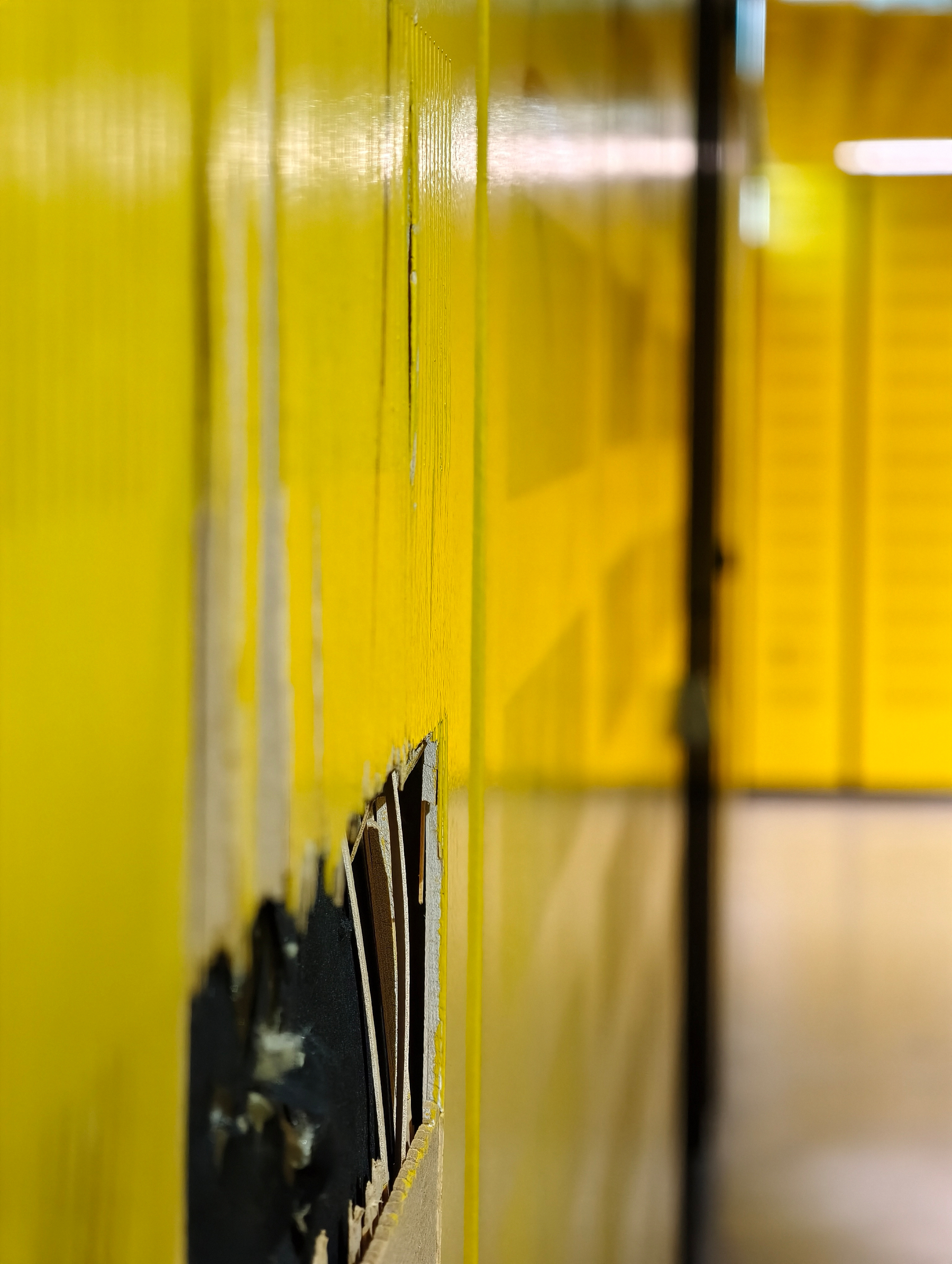In the way to the lecture hall, there is yellow joy