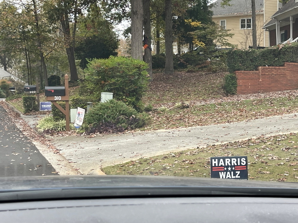 Auto-generated description: A suburban neighborhood yard features several campaign Harris and Trump signs and a driveway, surrounded by autumn leaves and trees.