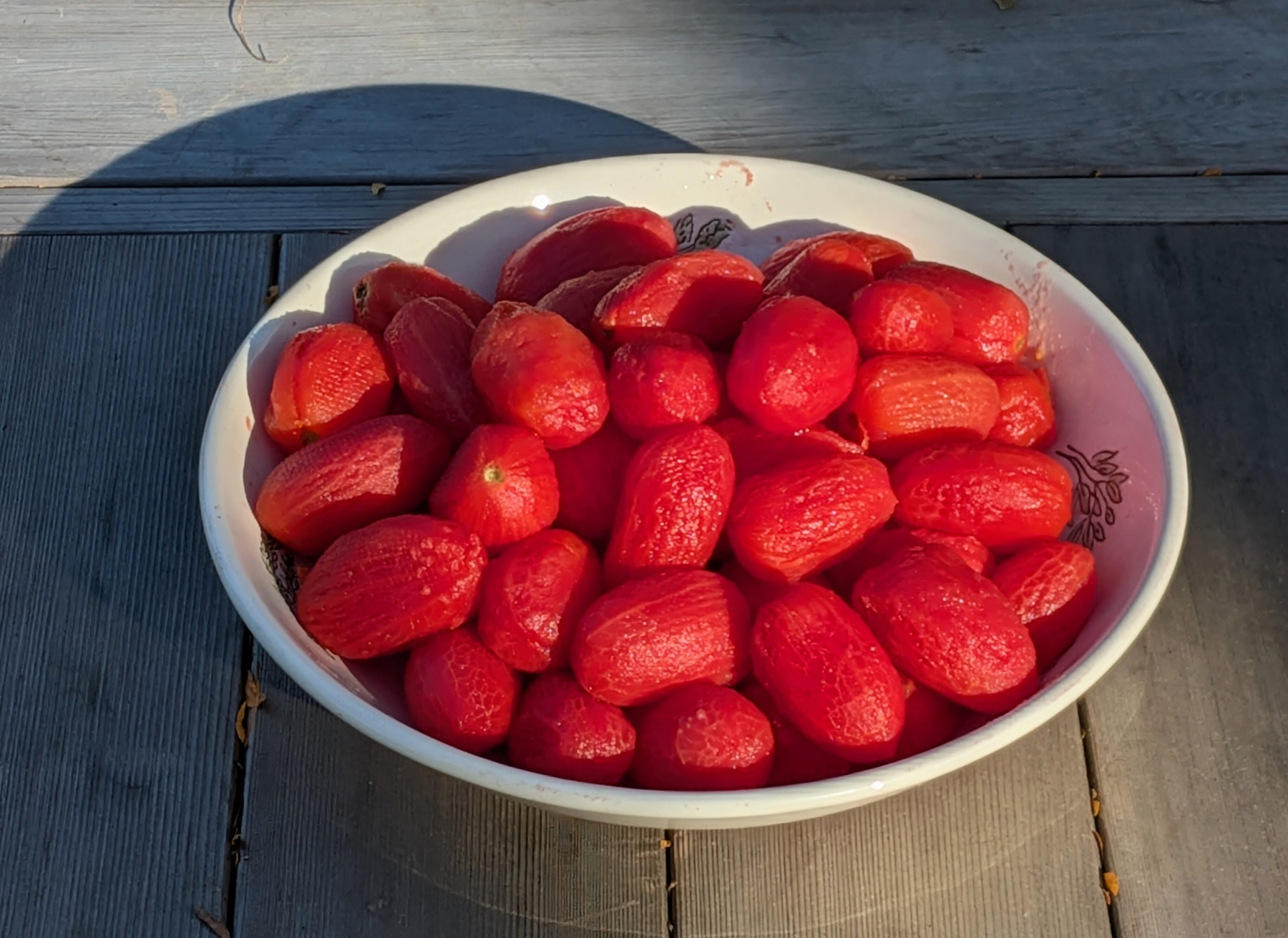 Wide white bowl full of shiny meaty bright red oblong tomatoes in sunshine atop dull wood planking.