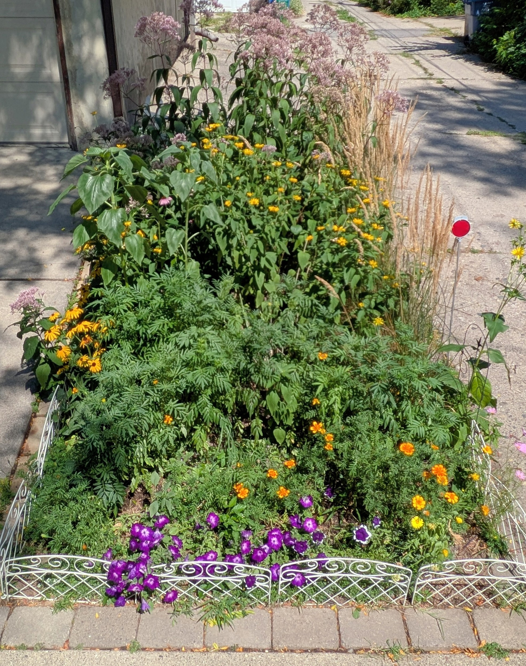 Array of summer blooms in purple and yellow with thick tall greenery on a sunny day in a receding rectangle space surrounded by concrete.