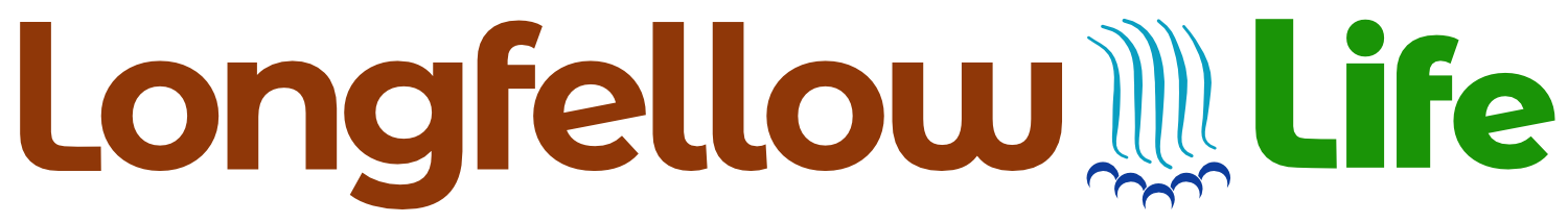 Longfellow Life, with graphic of blue water falling between the words