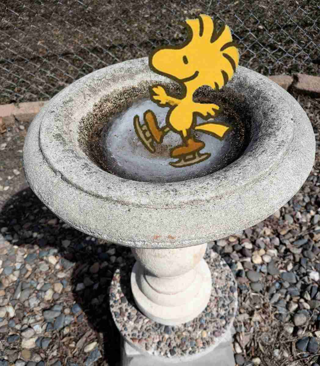 Birdbath with frozen water and cartoon character yellow bird with skates.