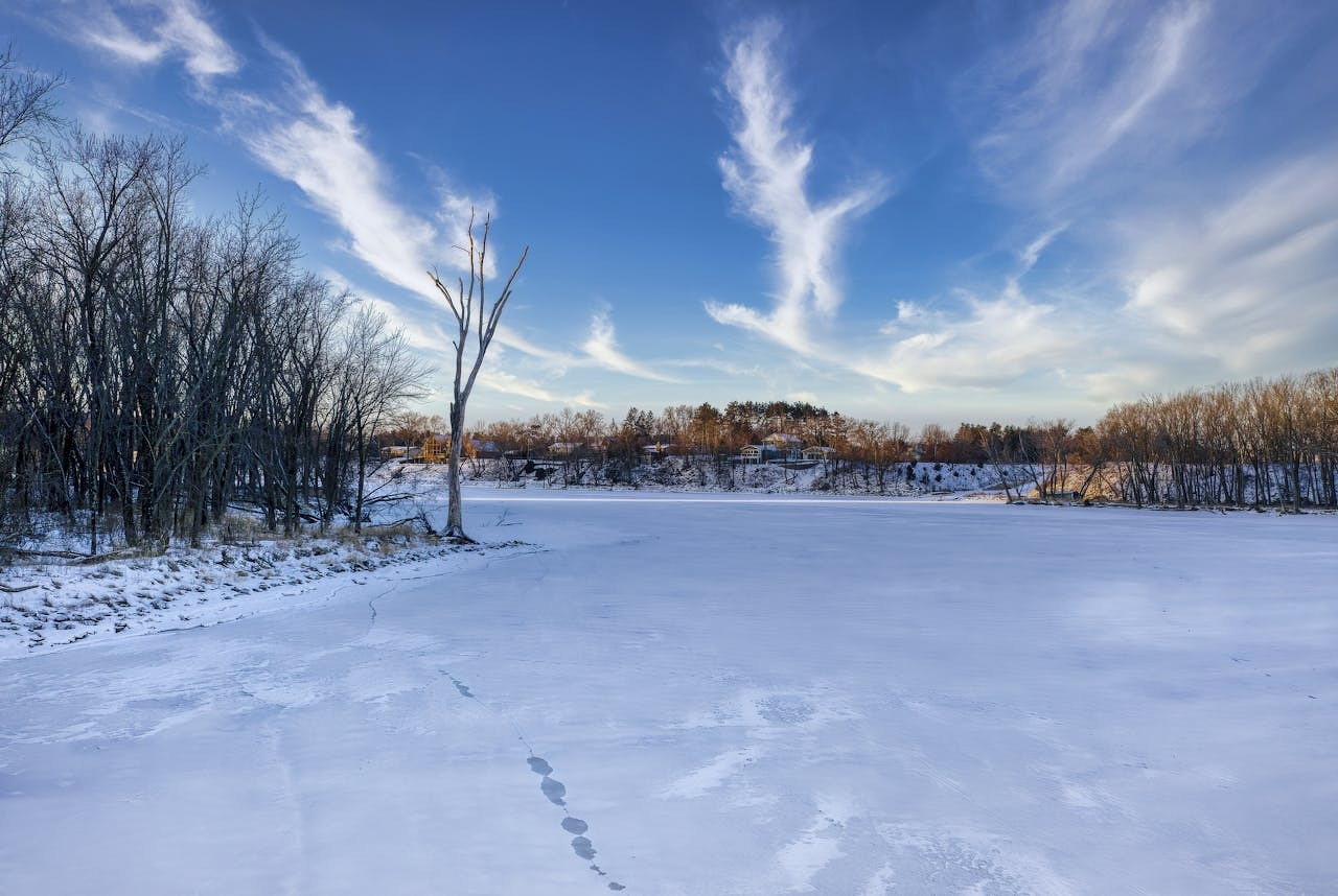 Snow covered lake bordered by trees on a sunny day with thin white clouds on blue sky. Photo by Tom Fisk